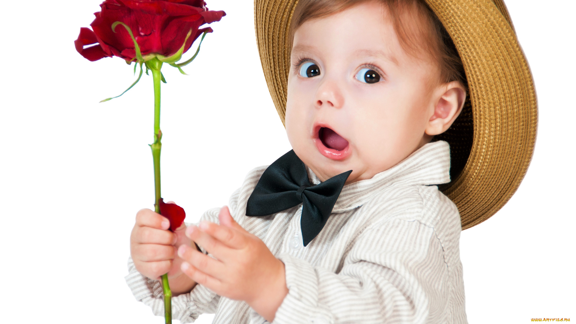 разное, дети, мальчик, шляпа, роза