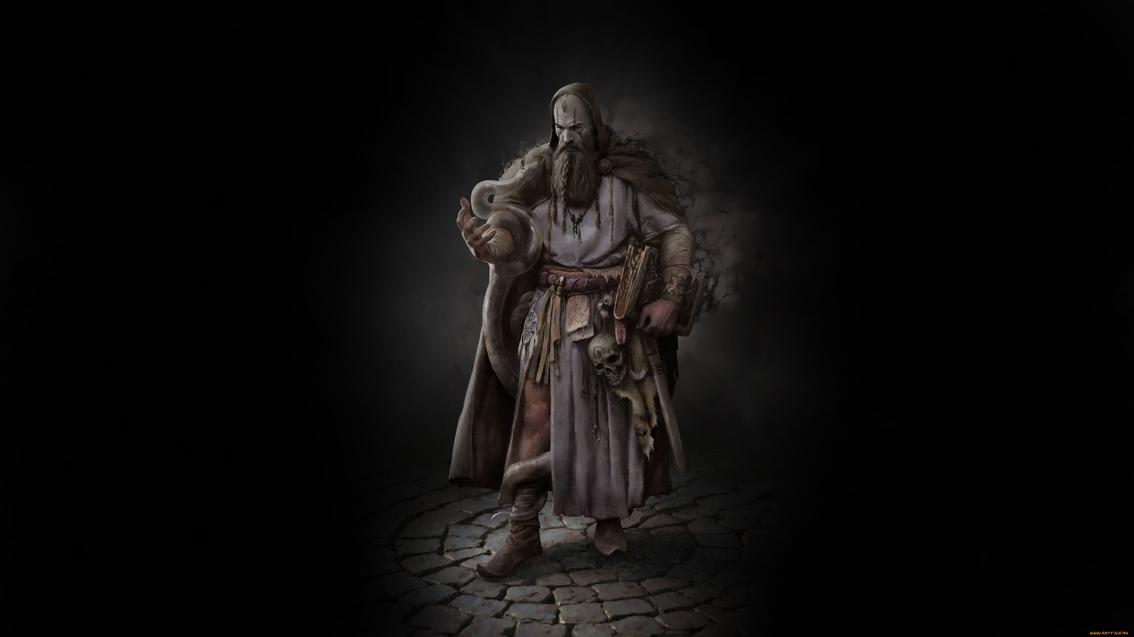 фэнтези, маги, , волшебники, маг, книга, борода