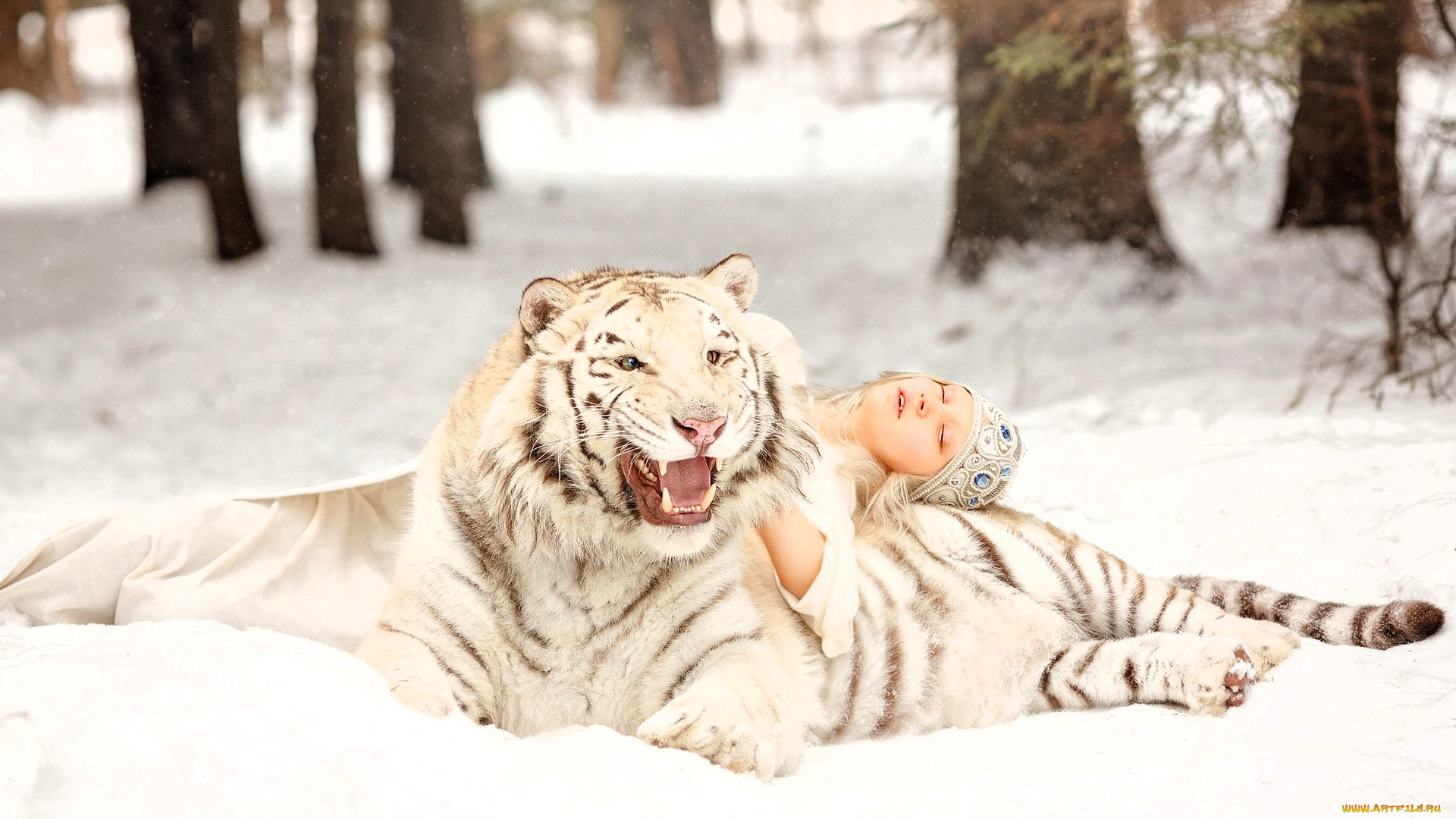 девушки, -, креатив, , косплей, платье, шапочка, тигр, снег, зима, лес