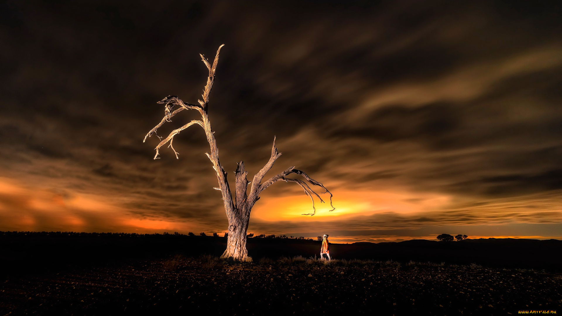 природа, восходы, закаты, тучи, небо, закат, дерево, человек