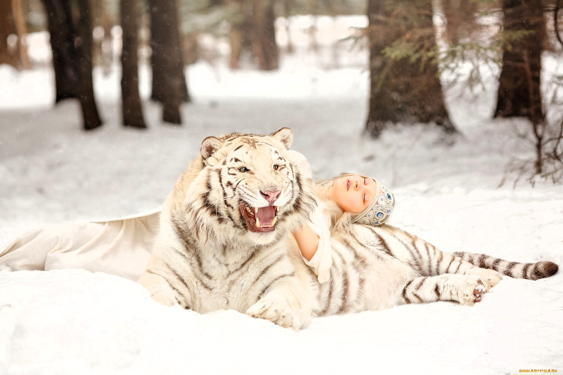 девушки, -, креатив, , косплей, платье, шапочка, тигр, снег, зима, лес