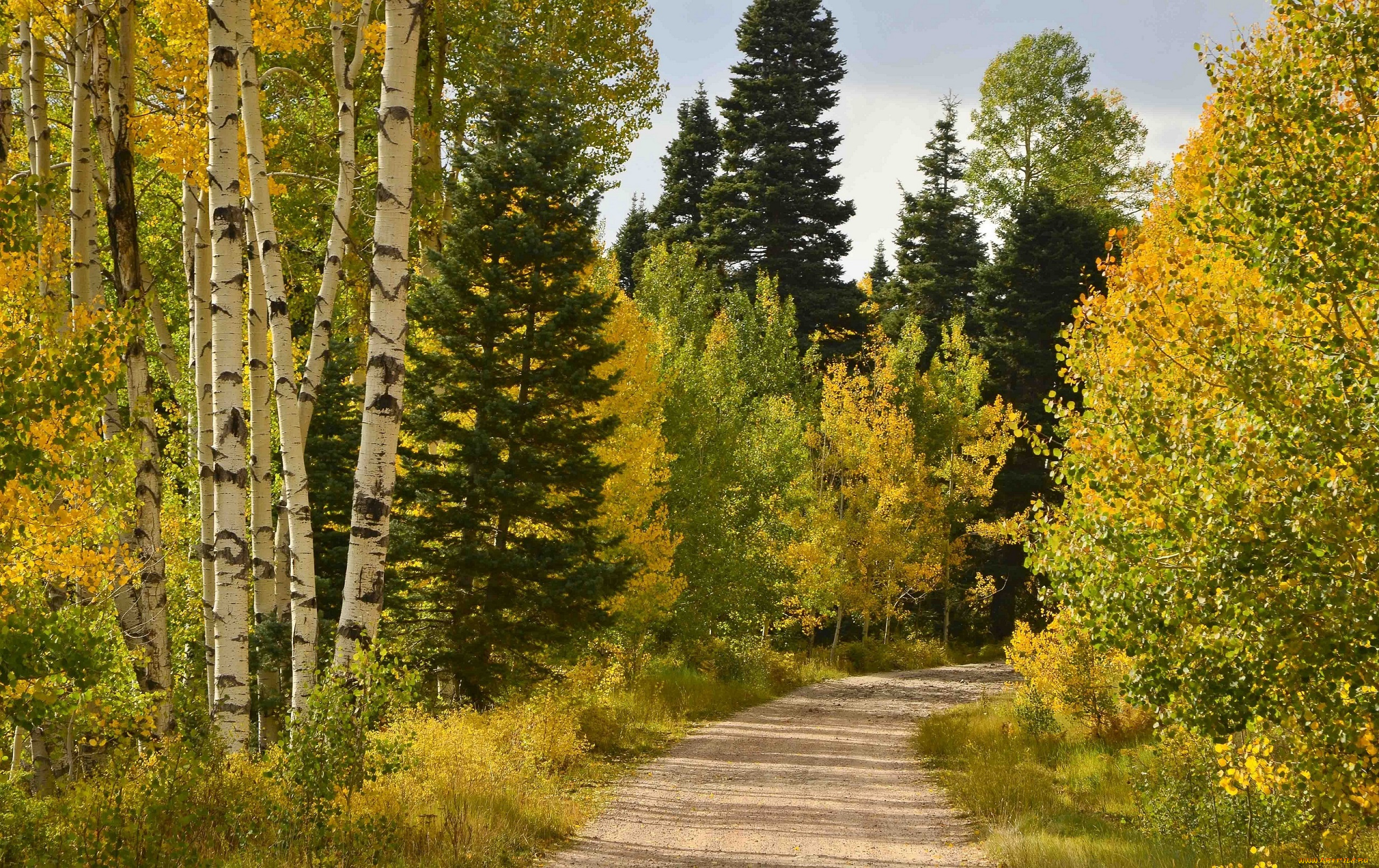 природа, дороги, осень