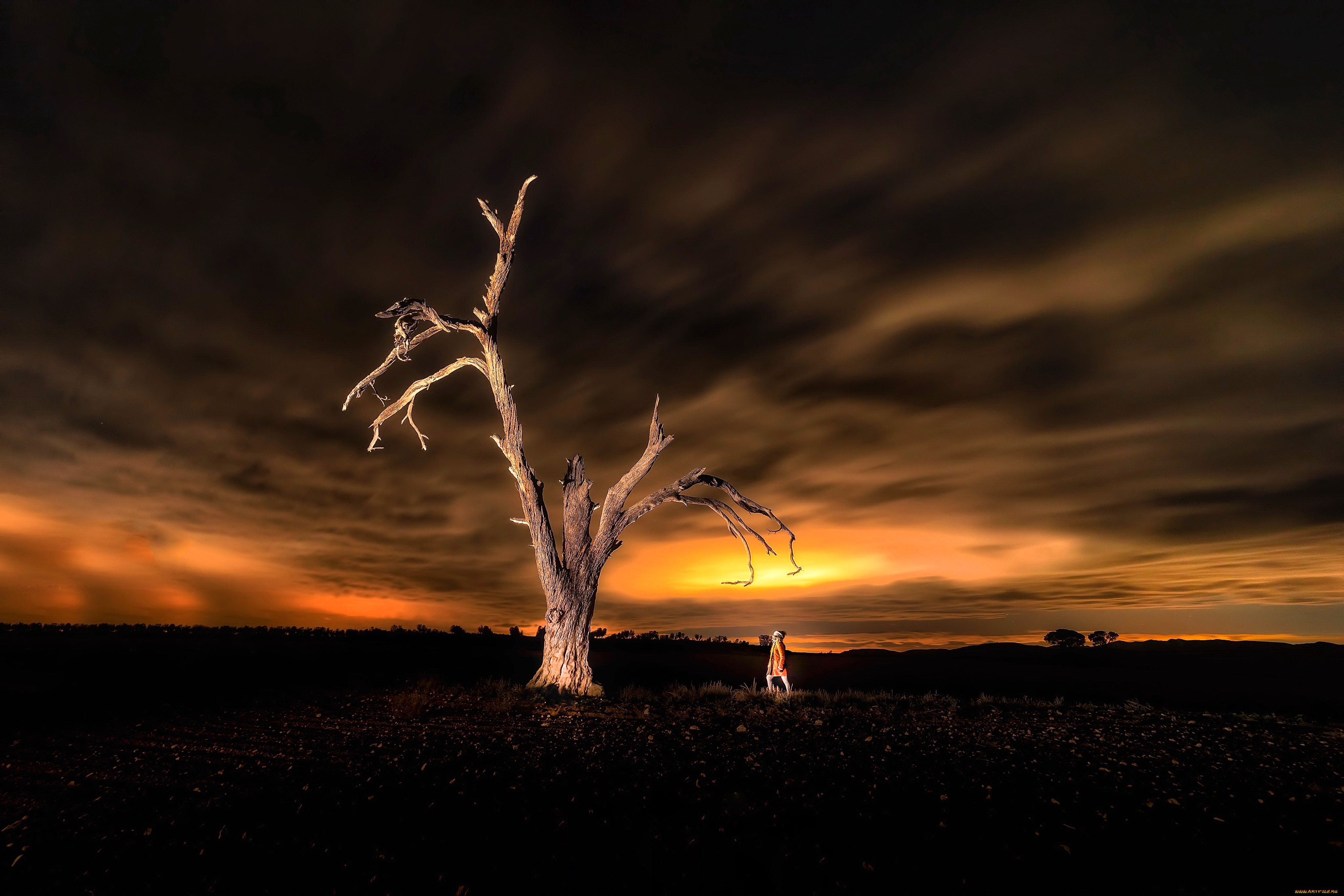 природа, восходы, закаты, тучи, небо, закат, дерево, человек