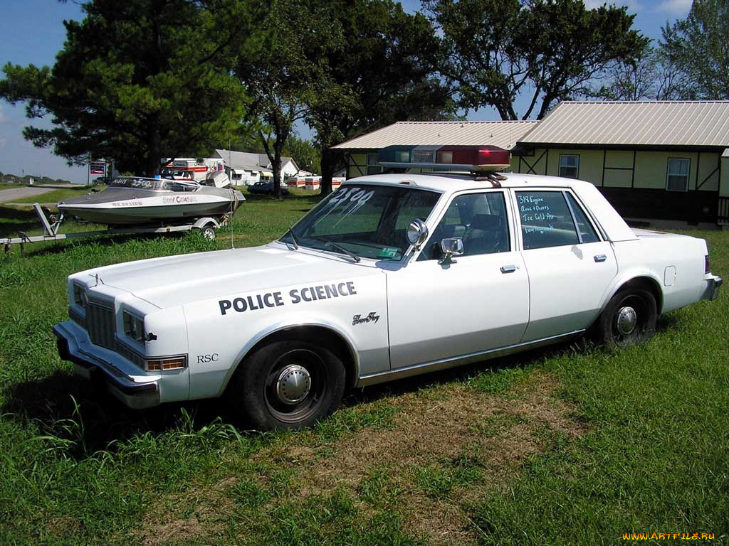 автомобили, полиция