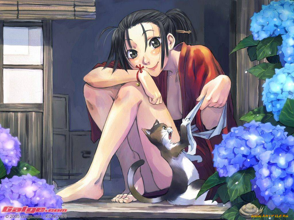 аниме, galge, com