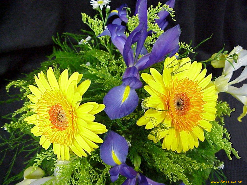 цветы, букеты, композиции