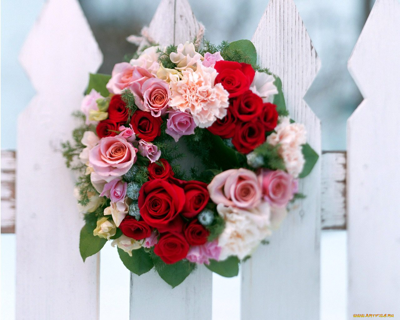 цветы, букеты, композиции