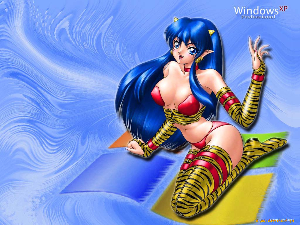 компьютеры, windows, xp