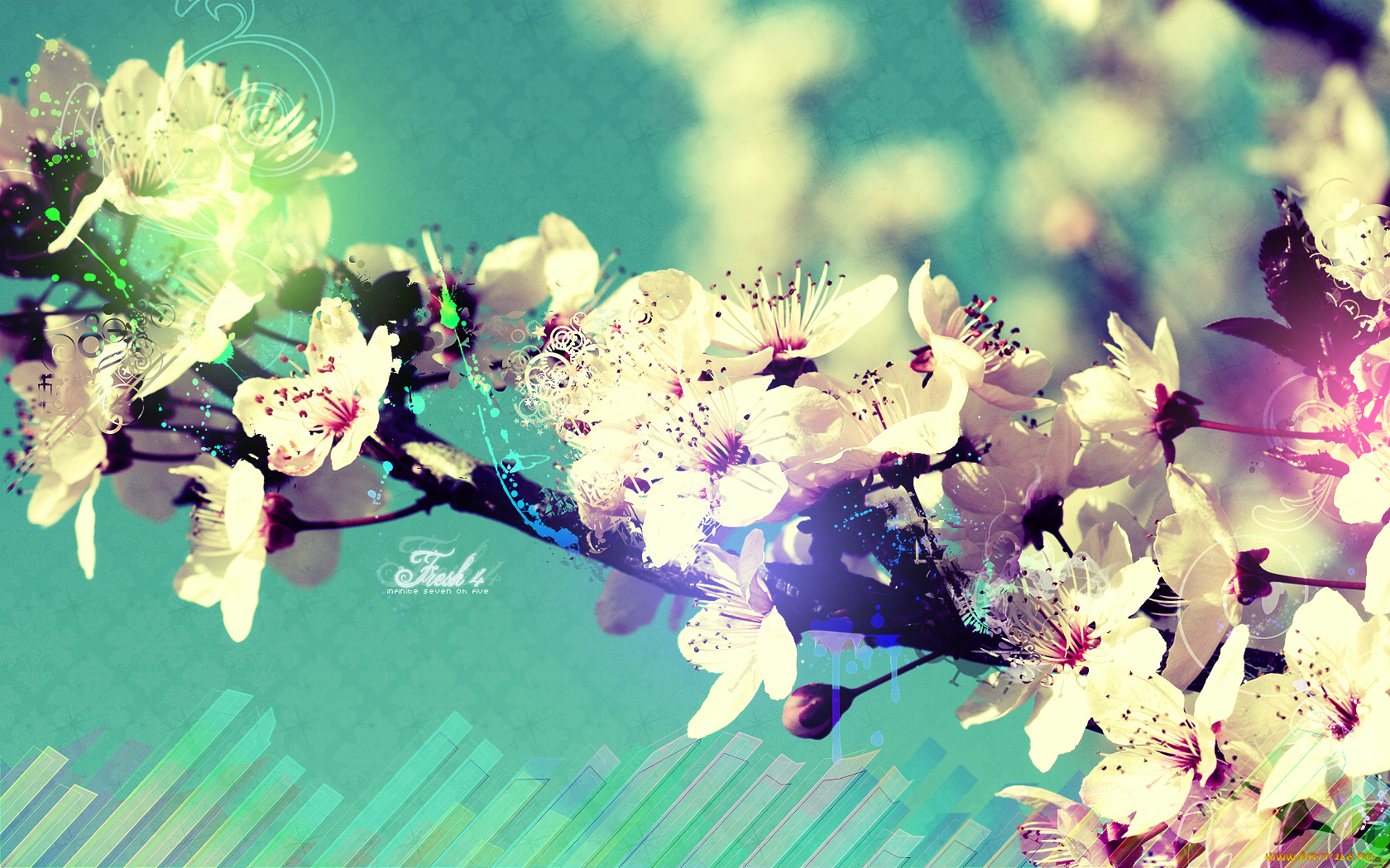 цветы, цветущие, деревья, кустарники