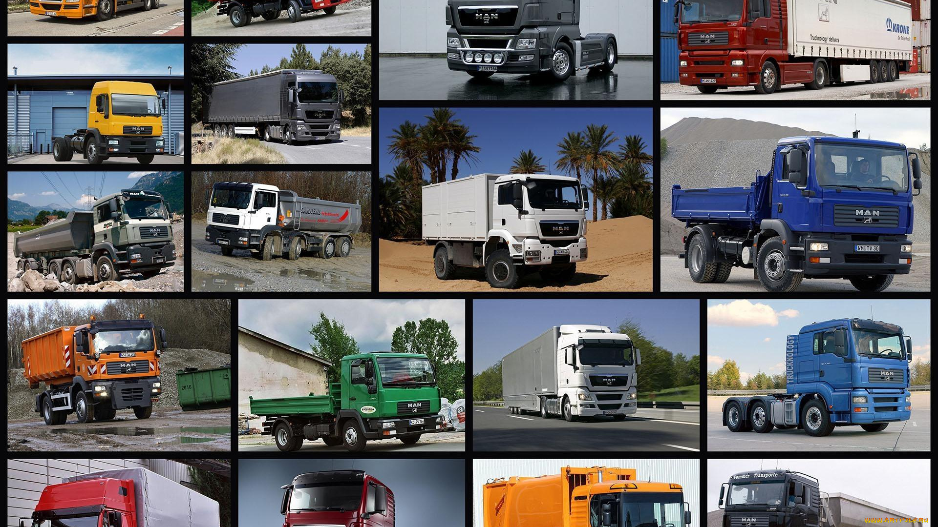 автомобили, man