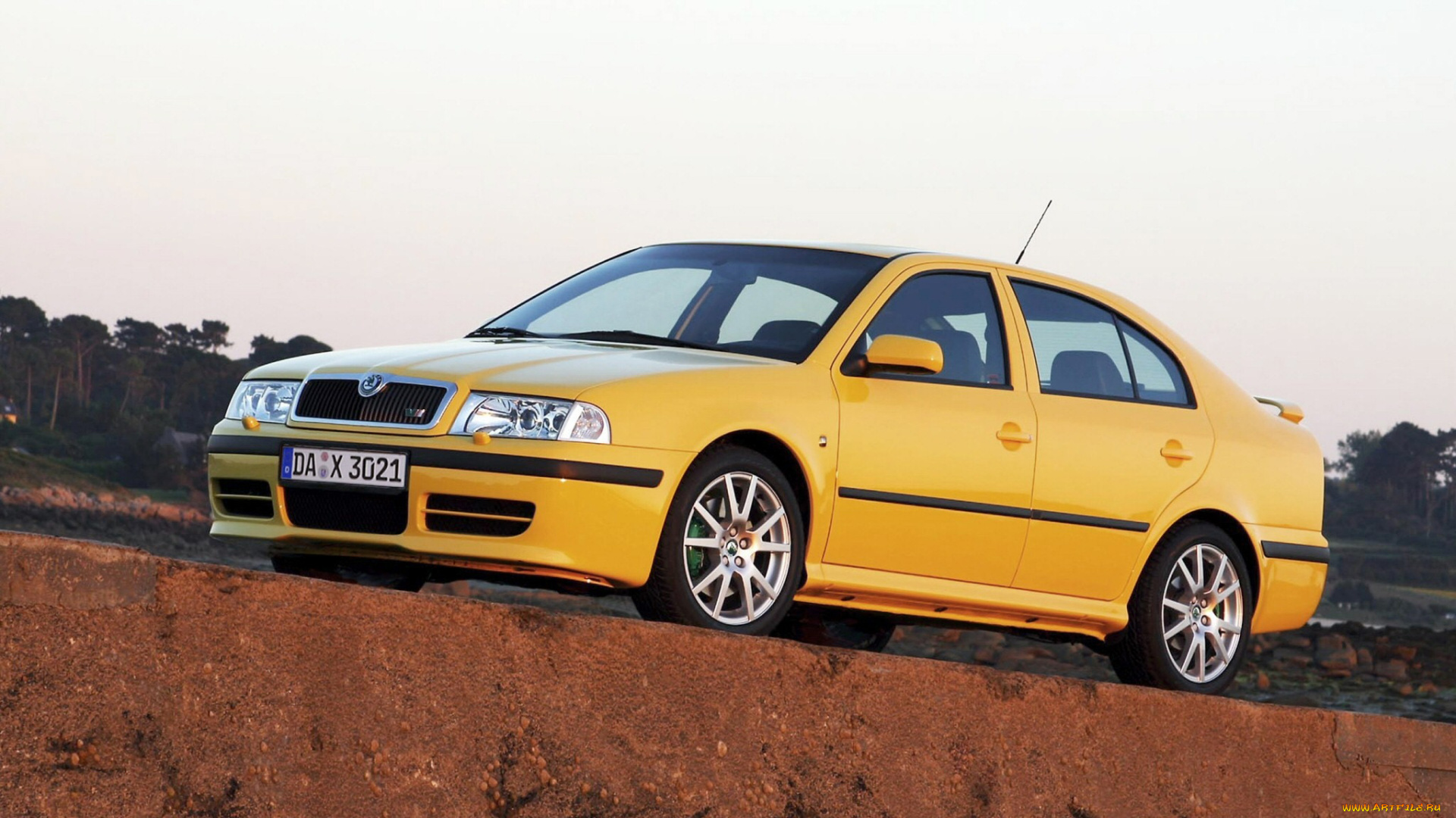 автомобили, skoda