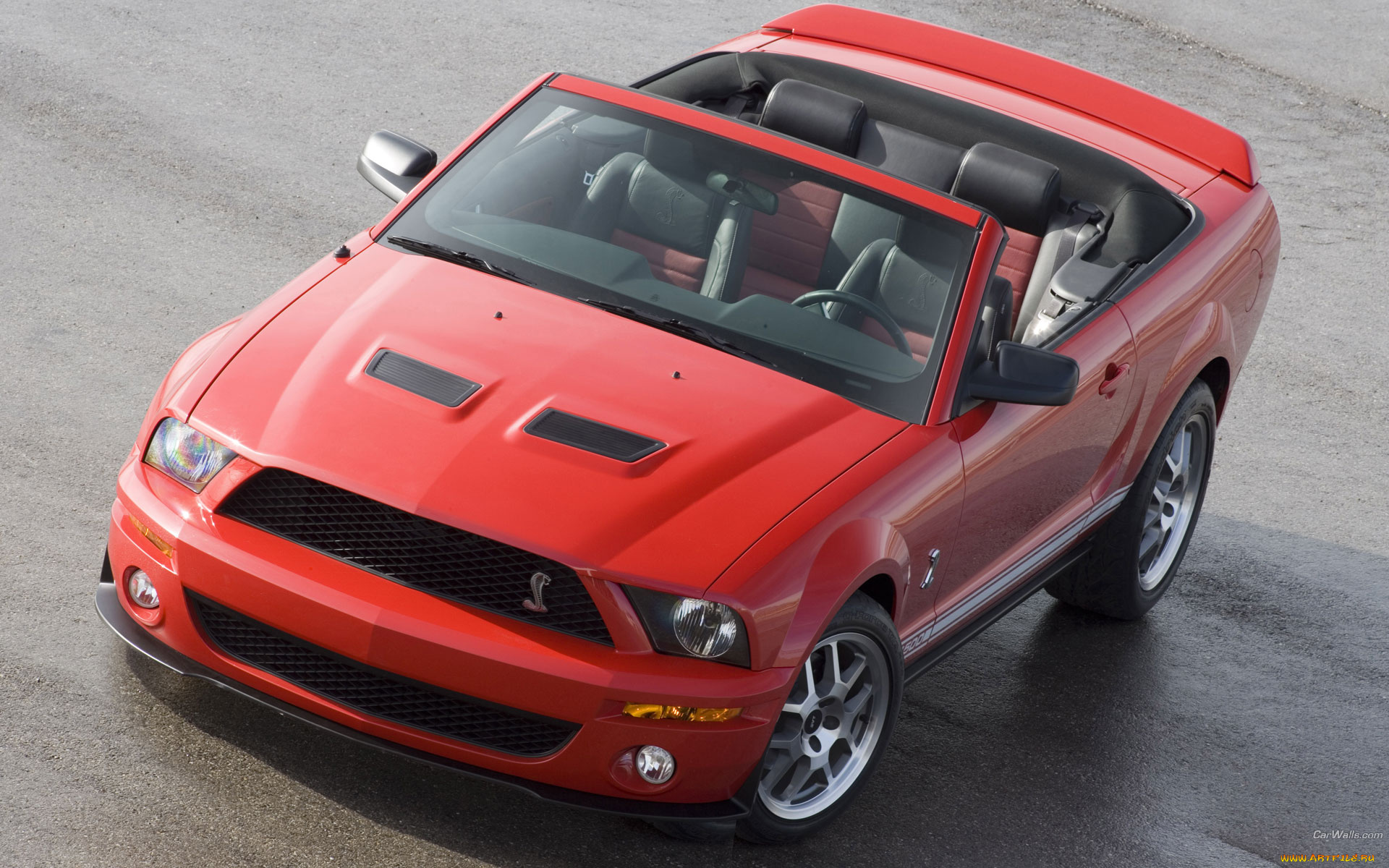 автомобили, mustang