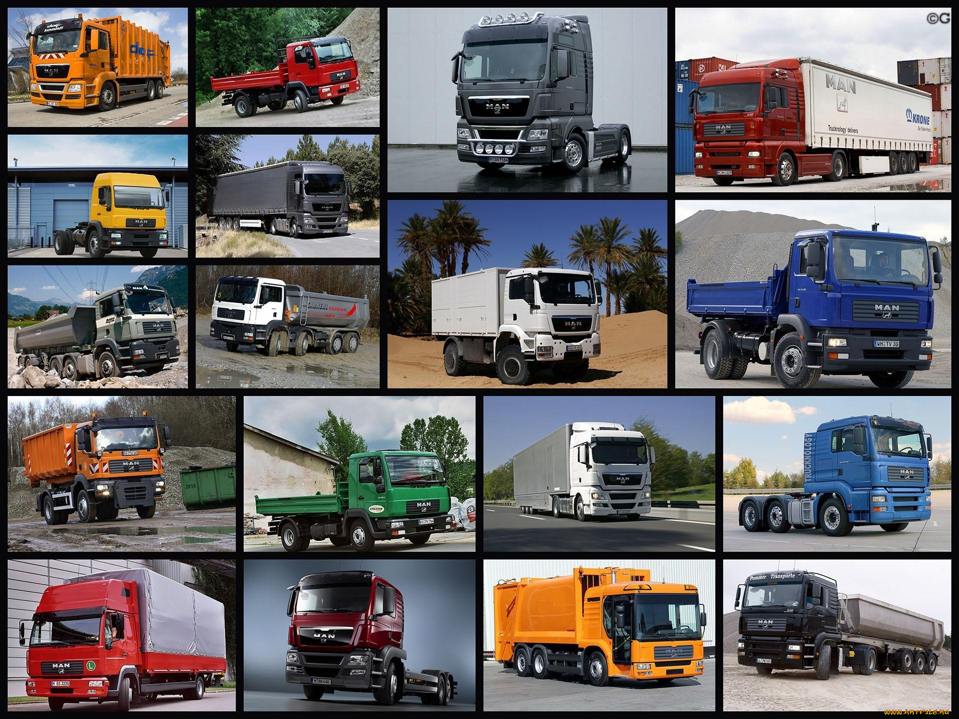 автомобили, man