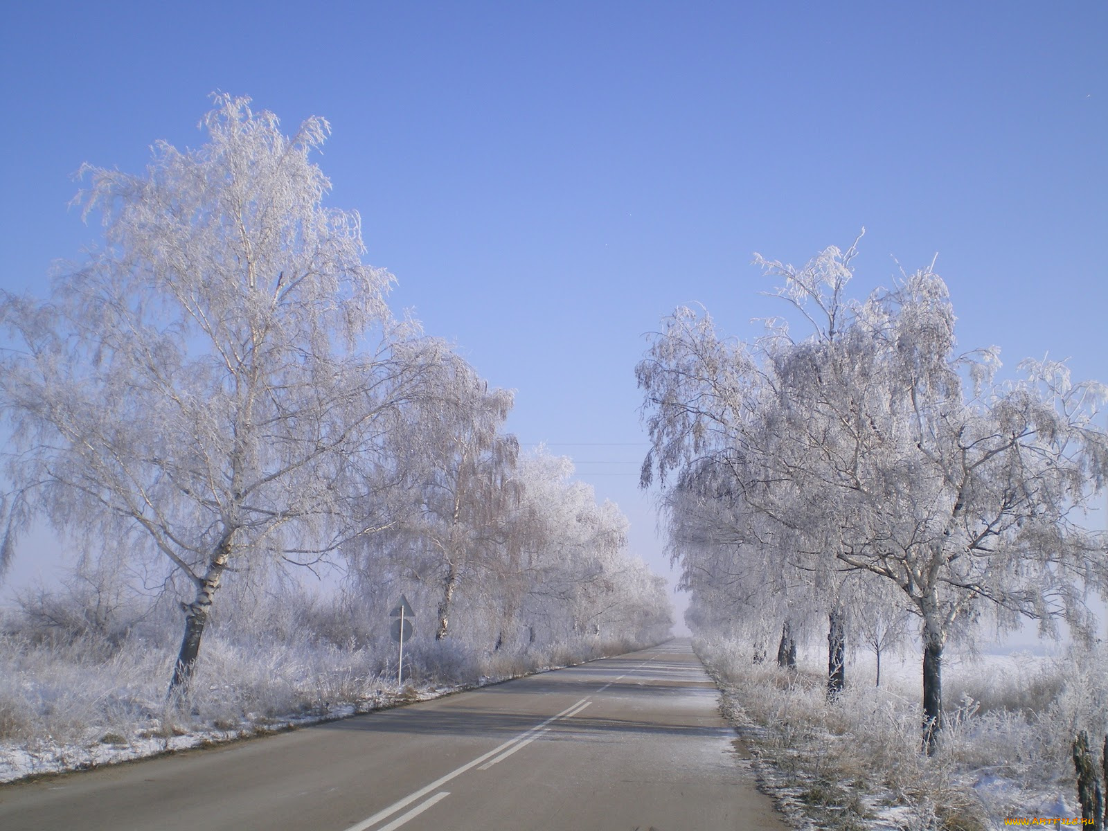 природа, дороги, иней, дорога, деревья