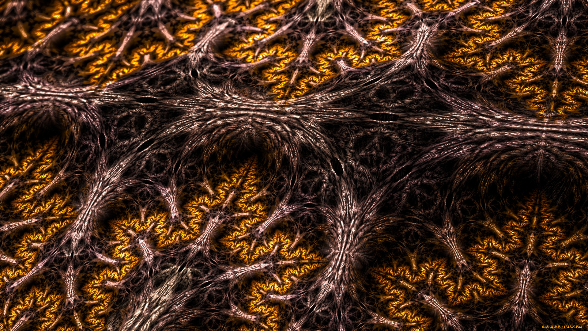 3д, графика, fractal, фракталы, фон, цвета, узор