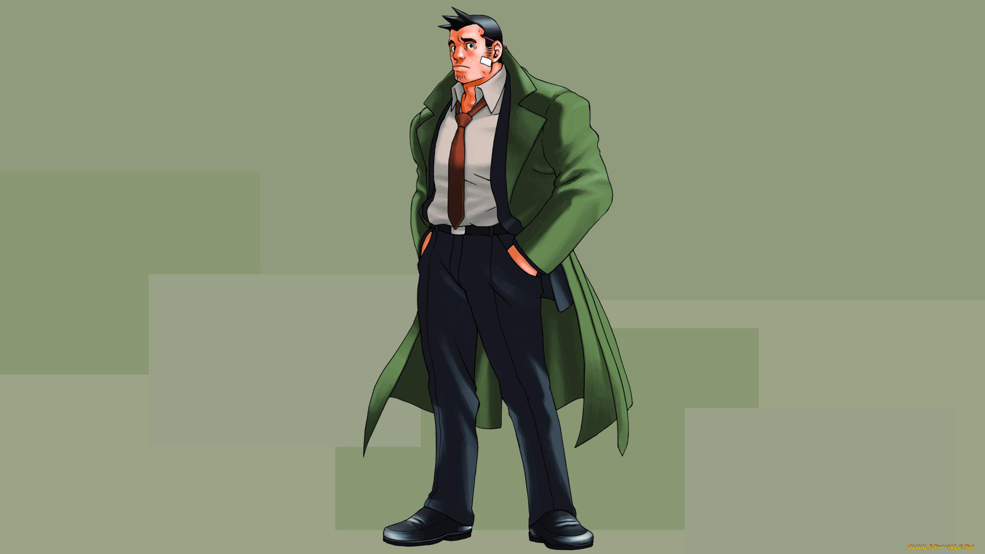 detective, dick, gumshoe, видео, игры, ace, attorney, investigations, miles, edgeworth