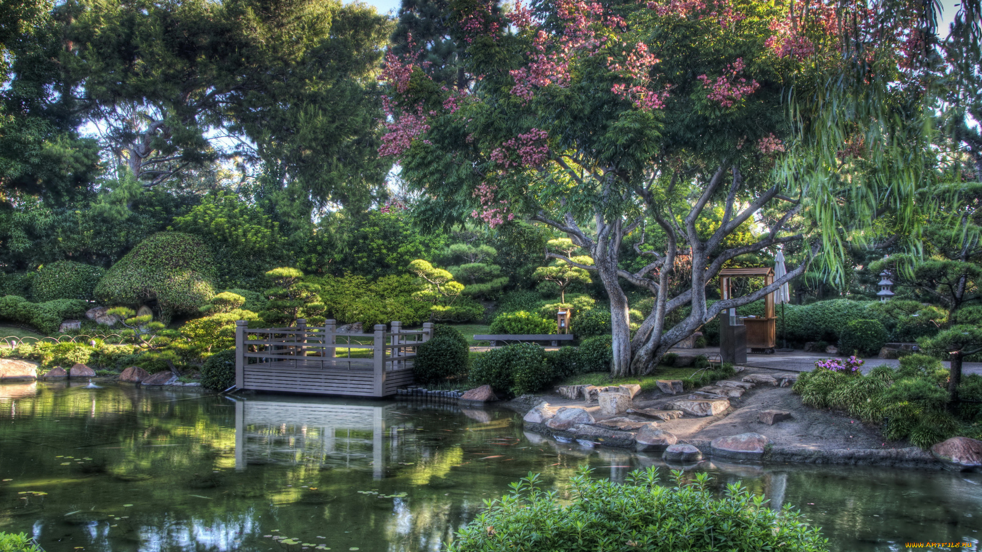 earl, burns, miller, japanese, garden, california, usa, природа, парк, сад