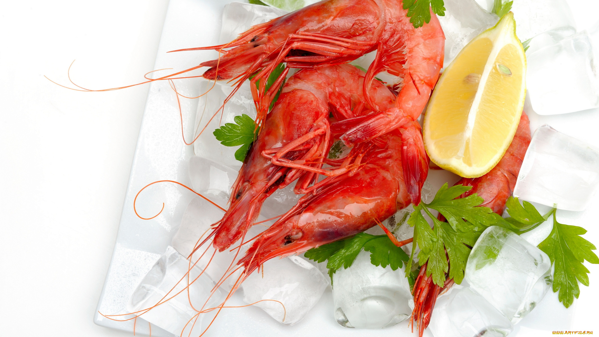 еда, рыба, морепродукты, суши, роллы, креветки, лимон, лёд