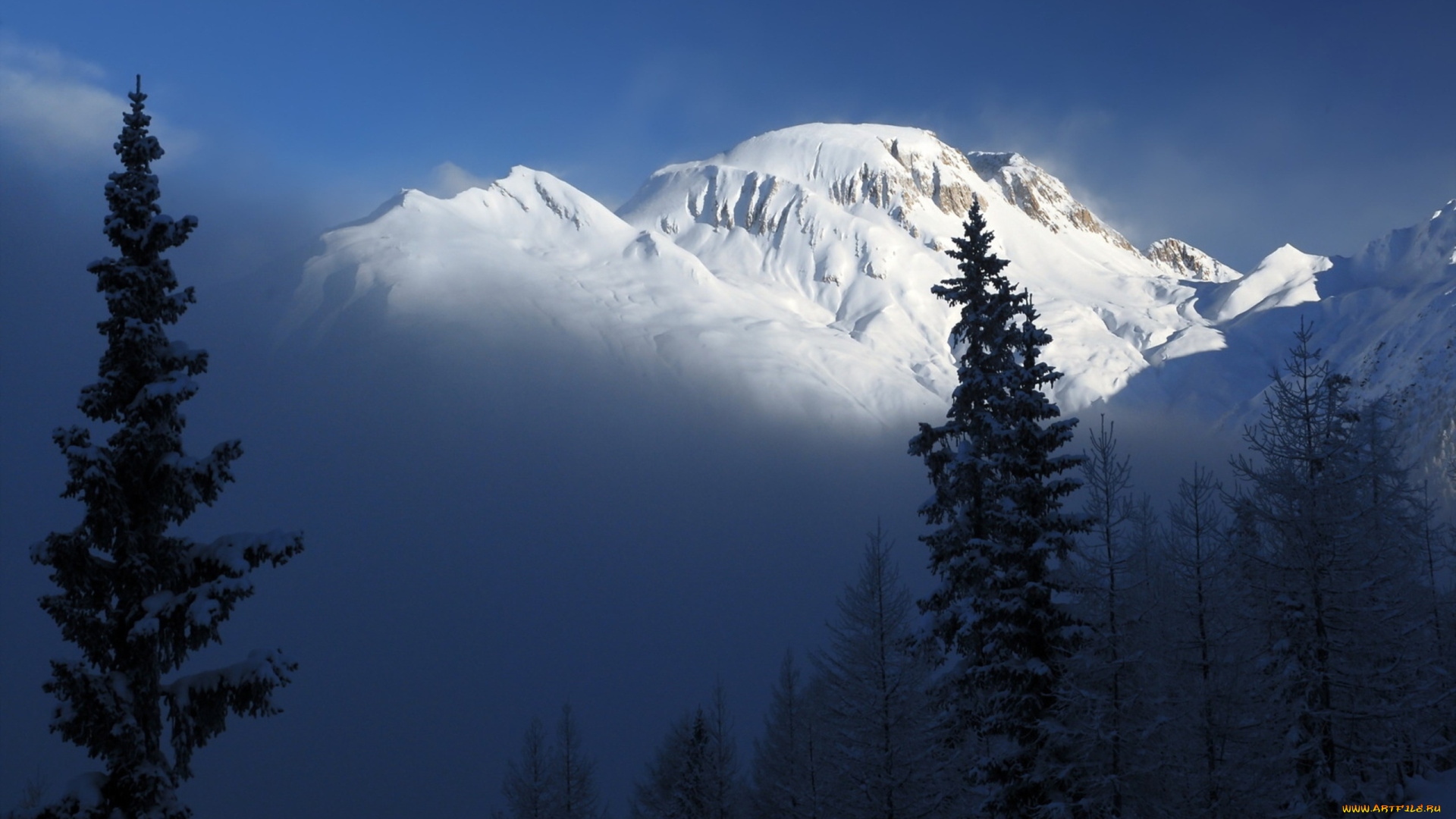 nevada, mountains, природа, горы, вершина, снега, лес