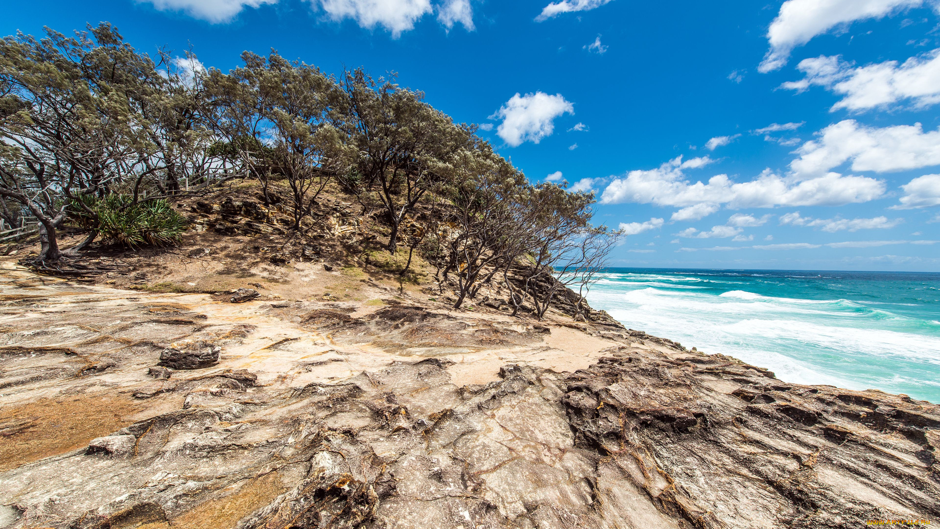 north, stradbroke, island, queensland, australia, природа, побережье, австралия, океан, деревья