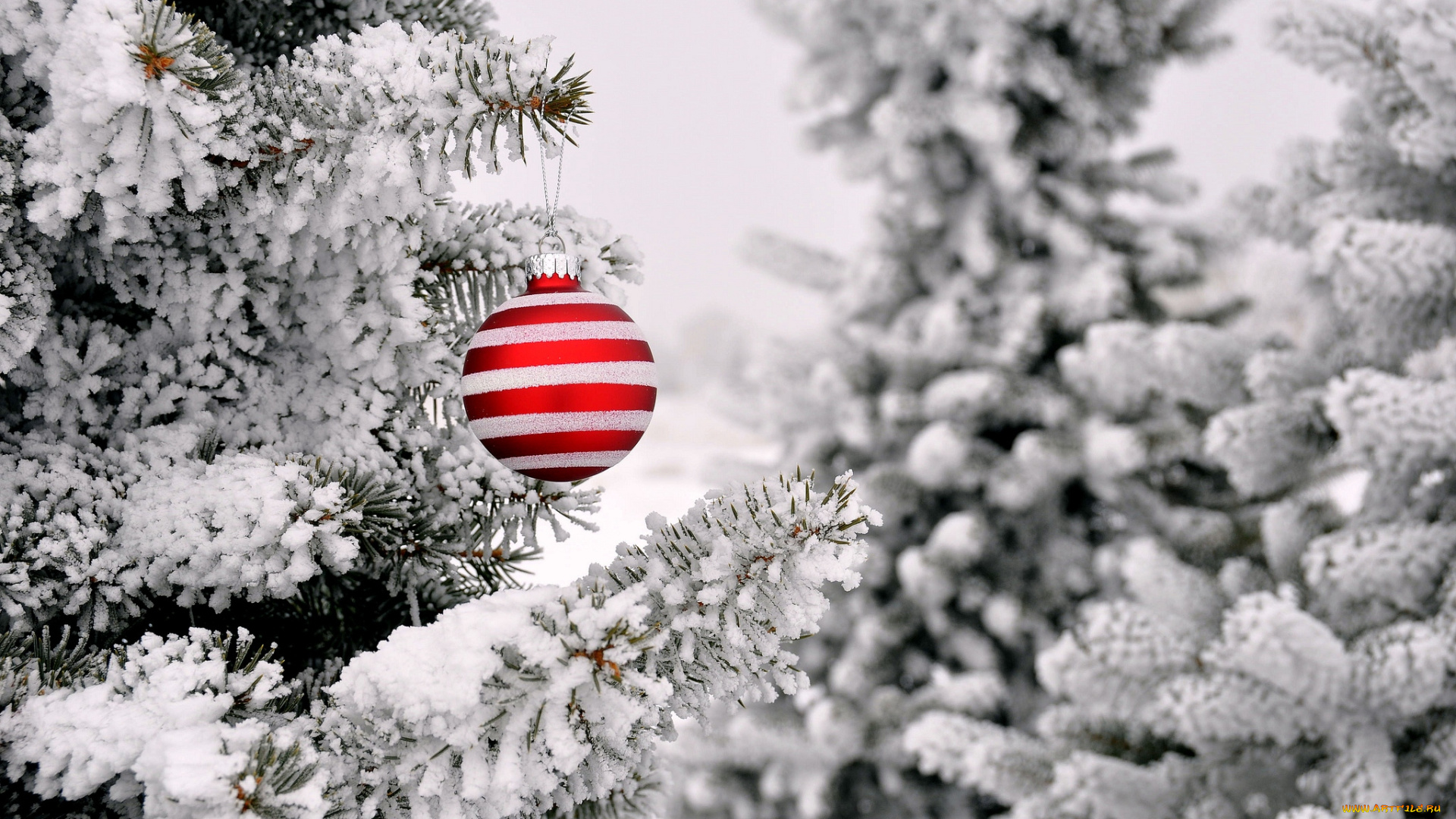 праздничные, шарики, шар, елки