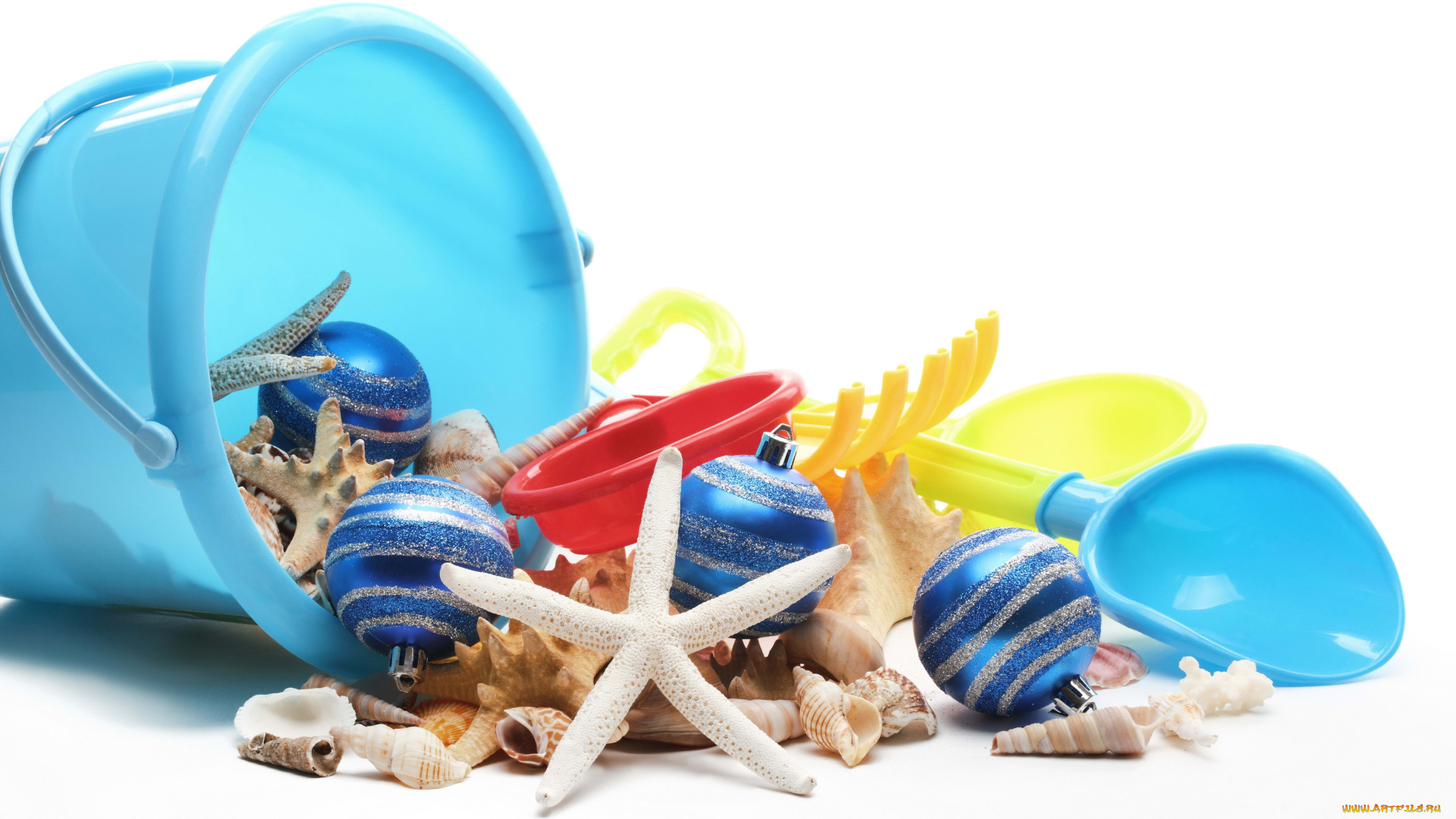 праздничные, украшения, ракушки