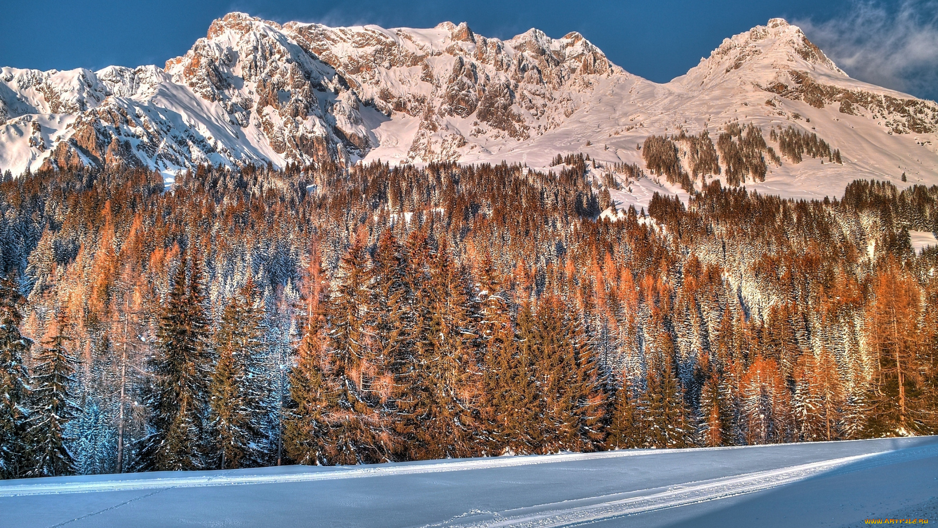 природа, горы, зима, лес, дорога