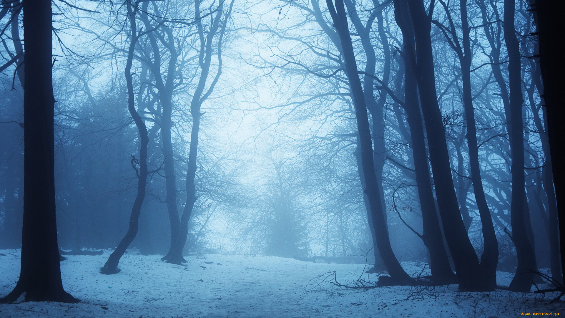 природа, зима, дымка, лес, снег