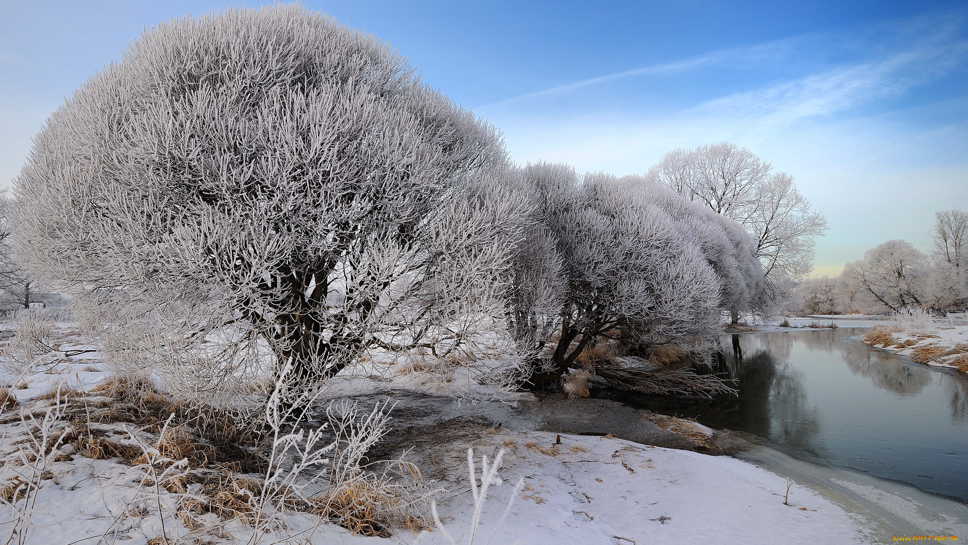 природа, зима, лес