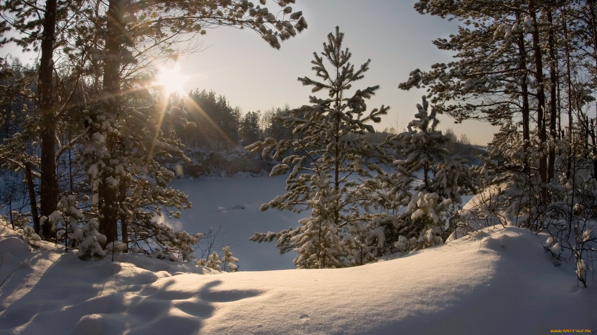 природа, зима, лес, снег