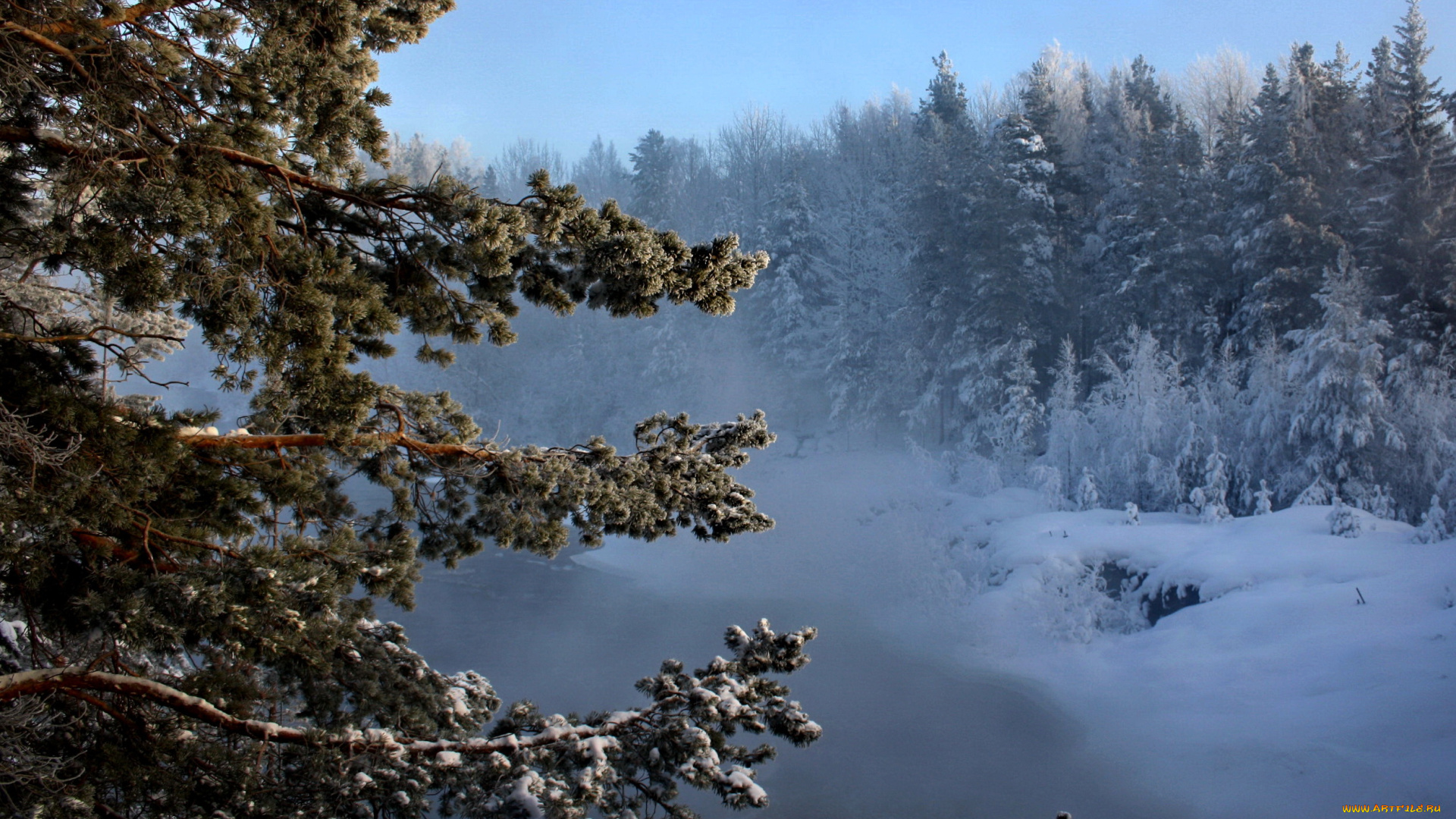 природа, зима, мороз, снег, лес