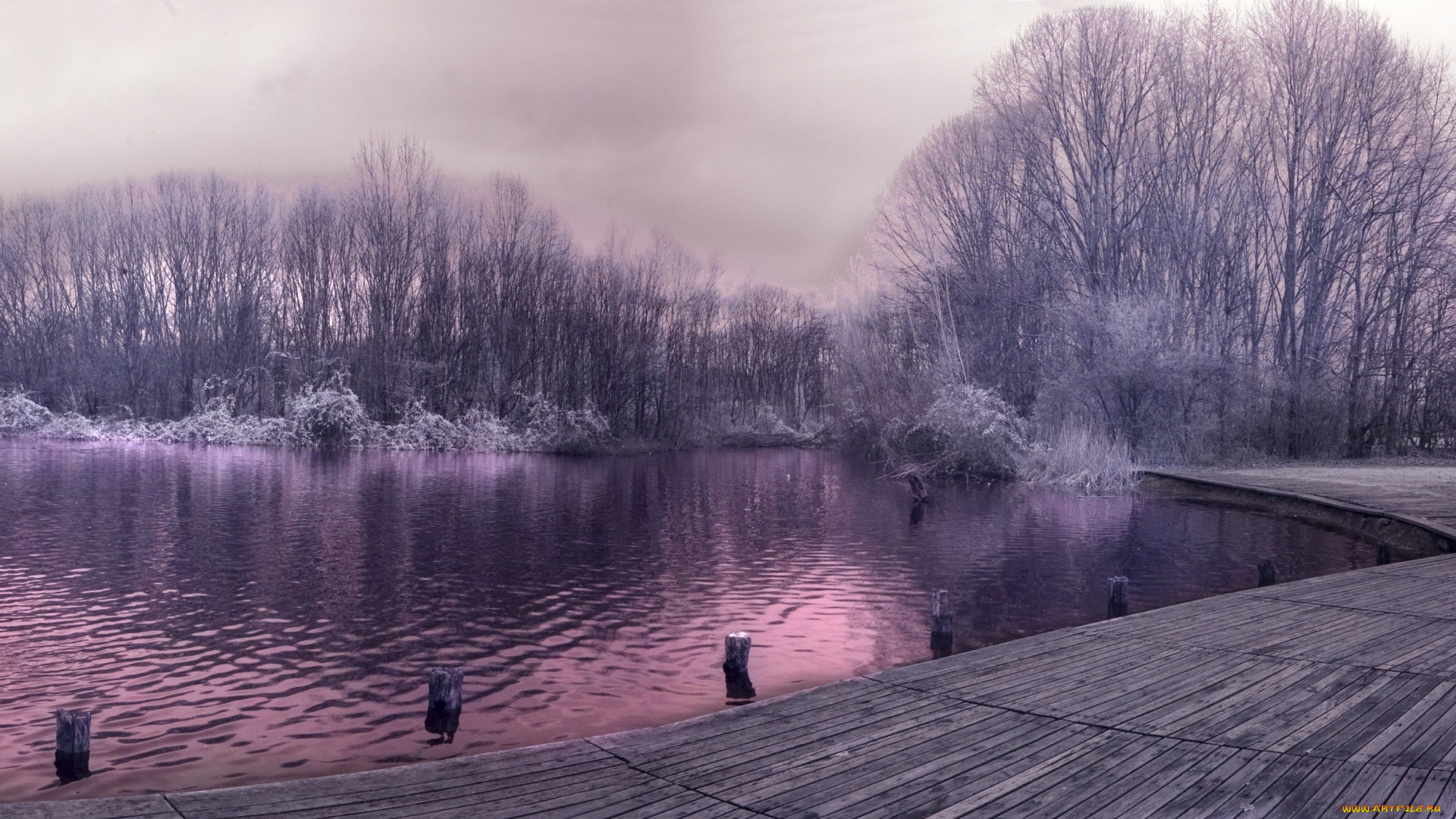 природа, зима, пруд, помост, деревья, иней