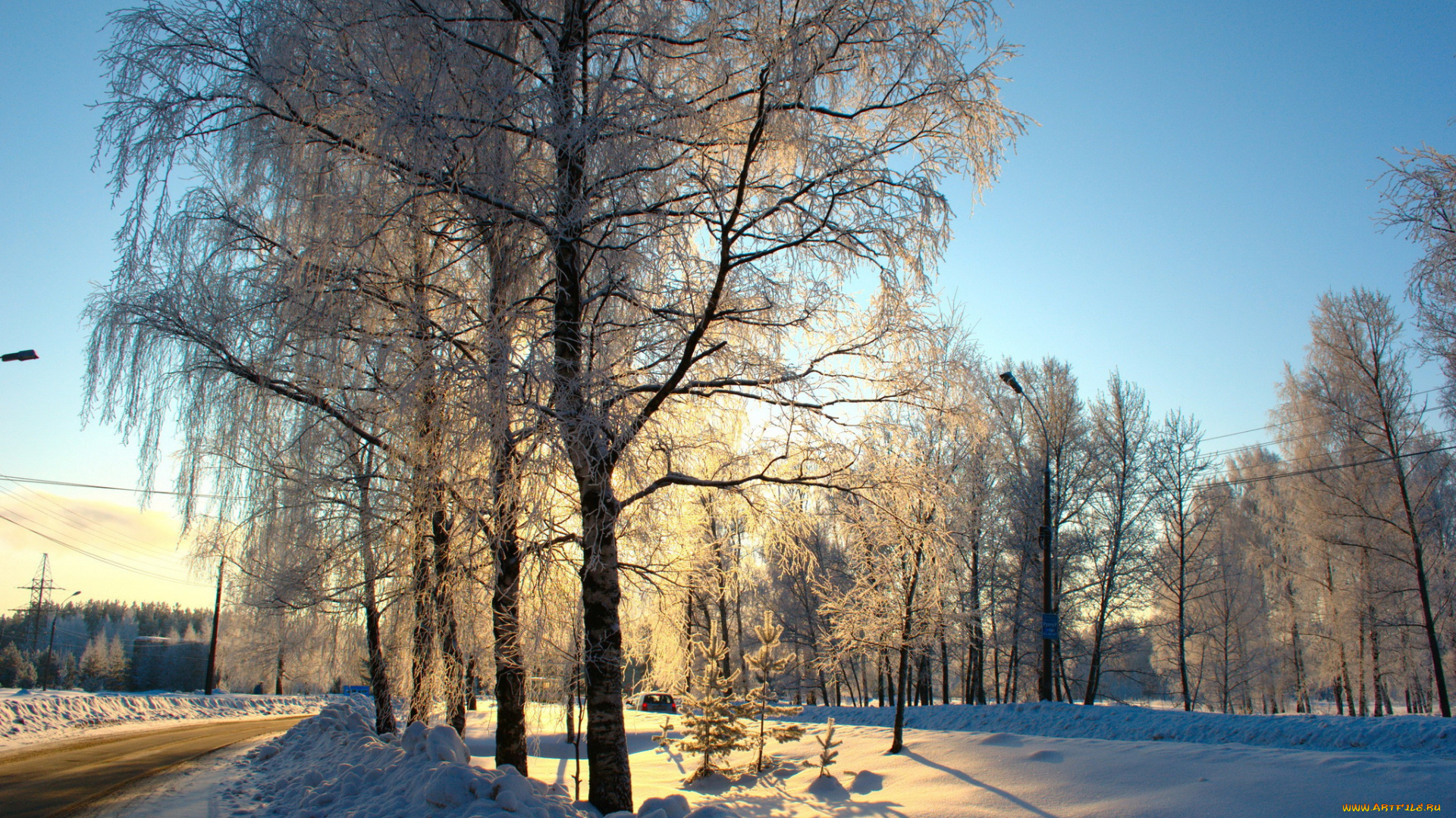 природа, зима, снег, деревья