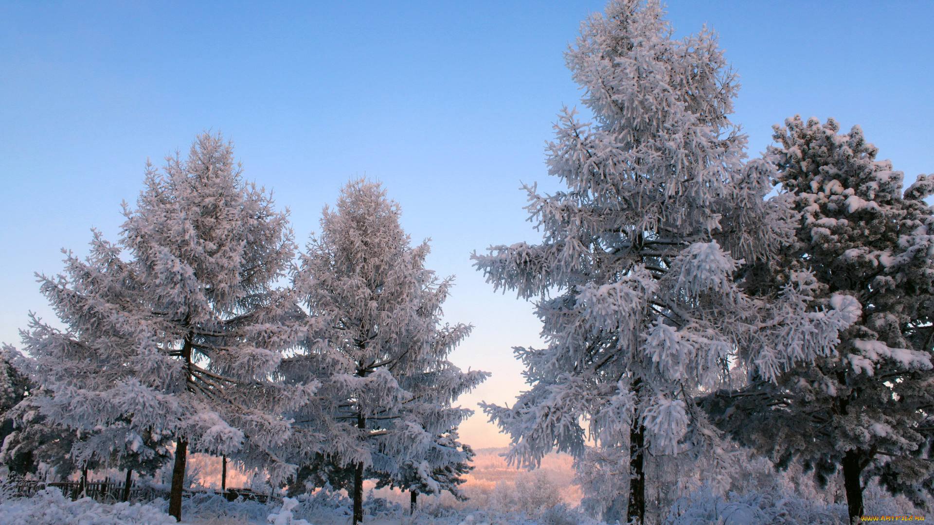 природа, зима, снег, деревья