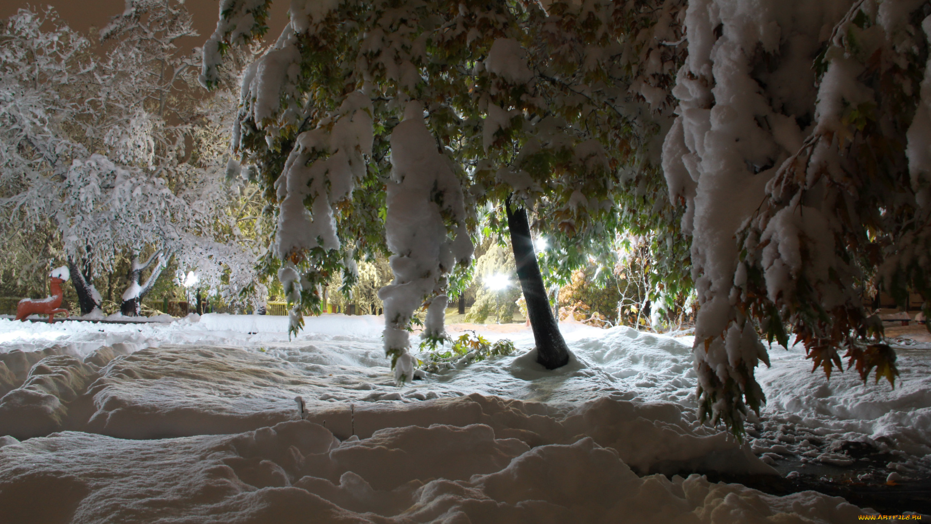 природа, зима, снег, ветки