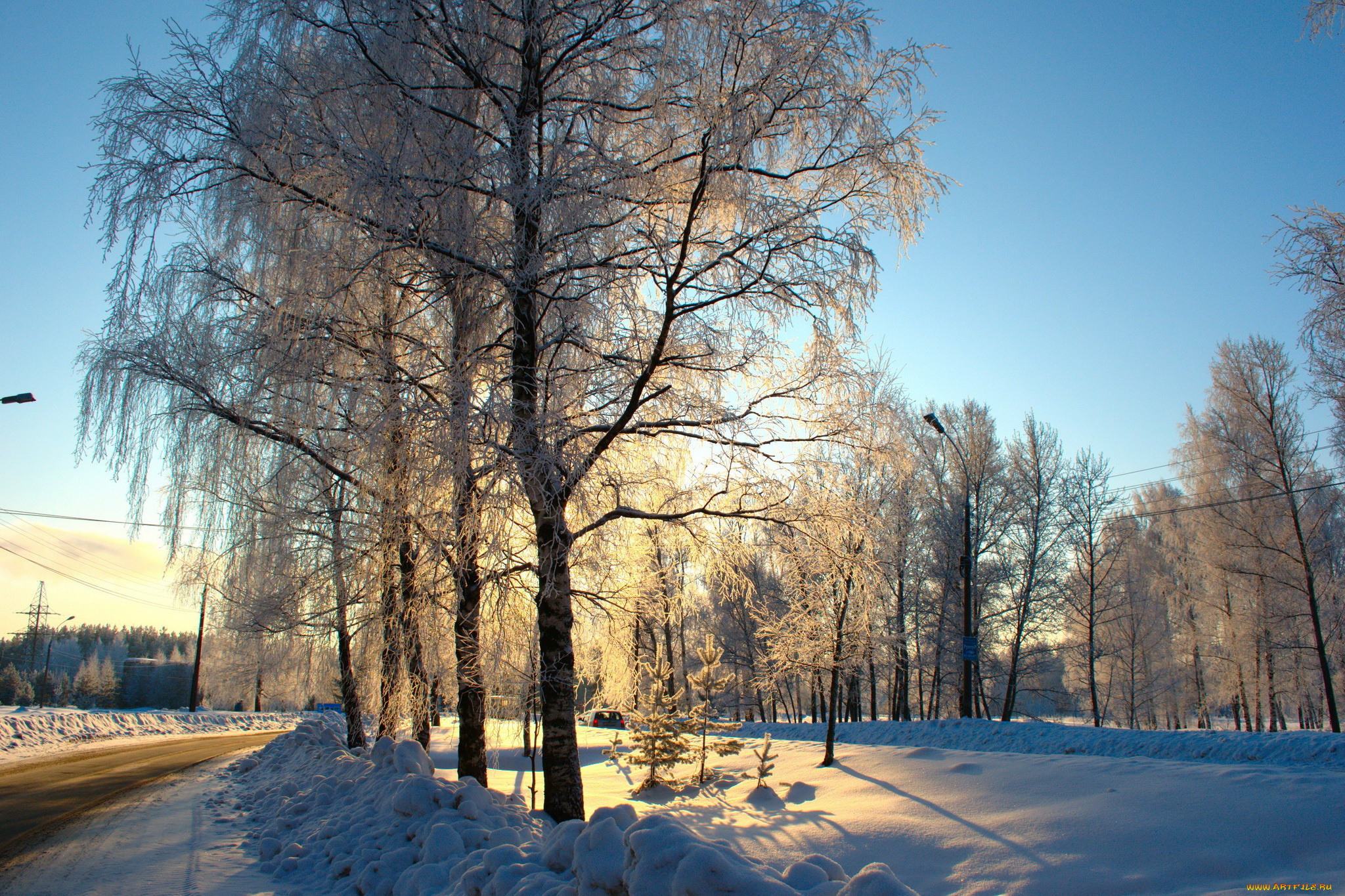 природа, зима, снег, деревья