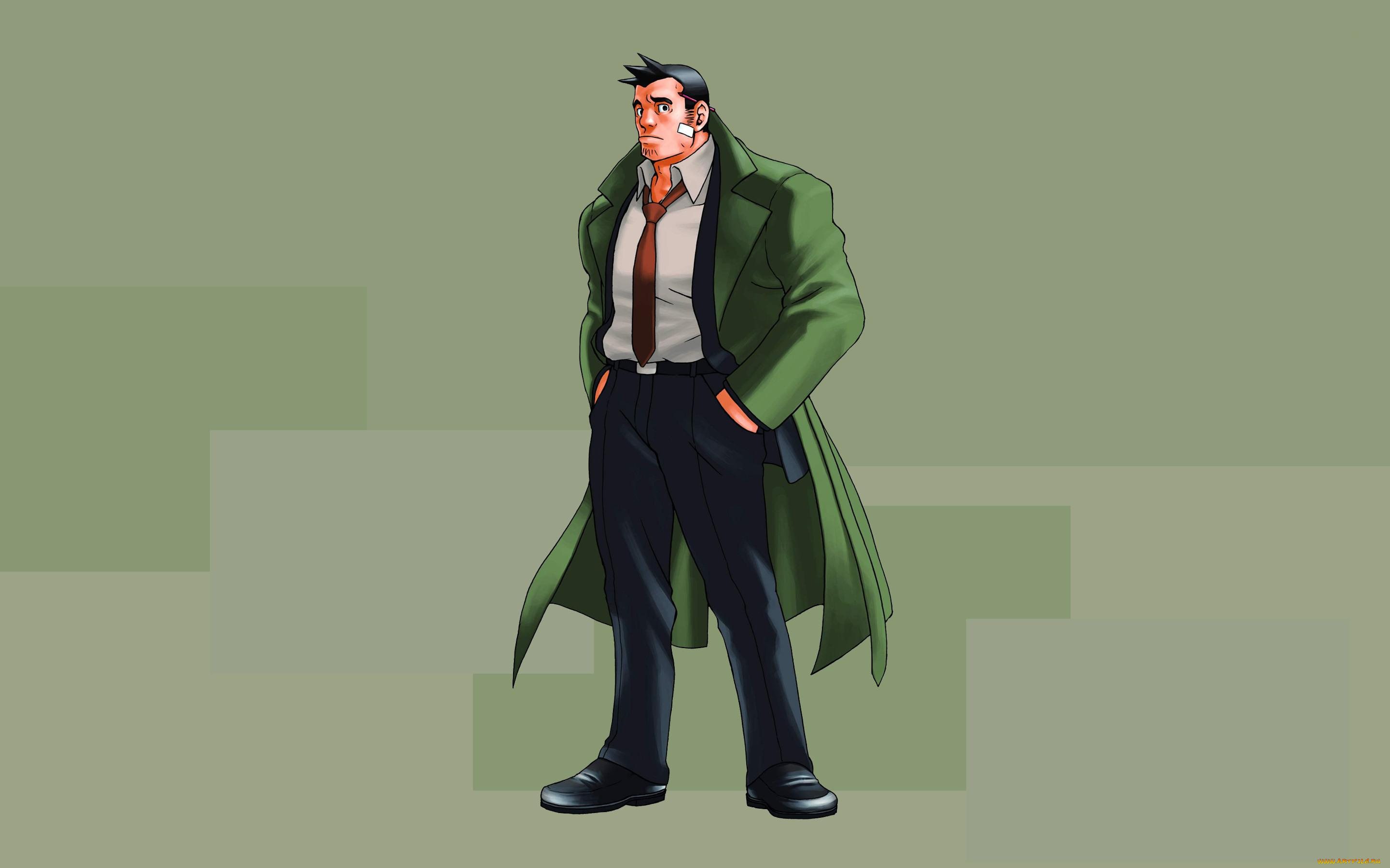 detective, dick, gumshoe, видео, игры, ace, attorney, investigations, miles, edgeworth
