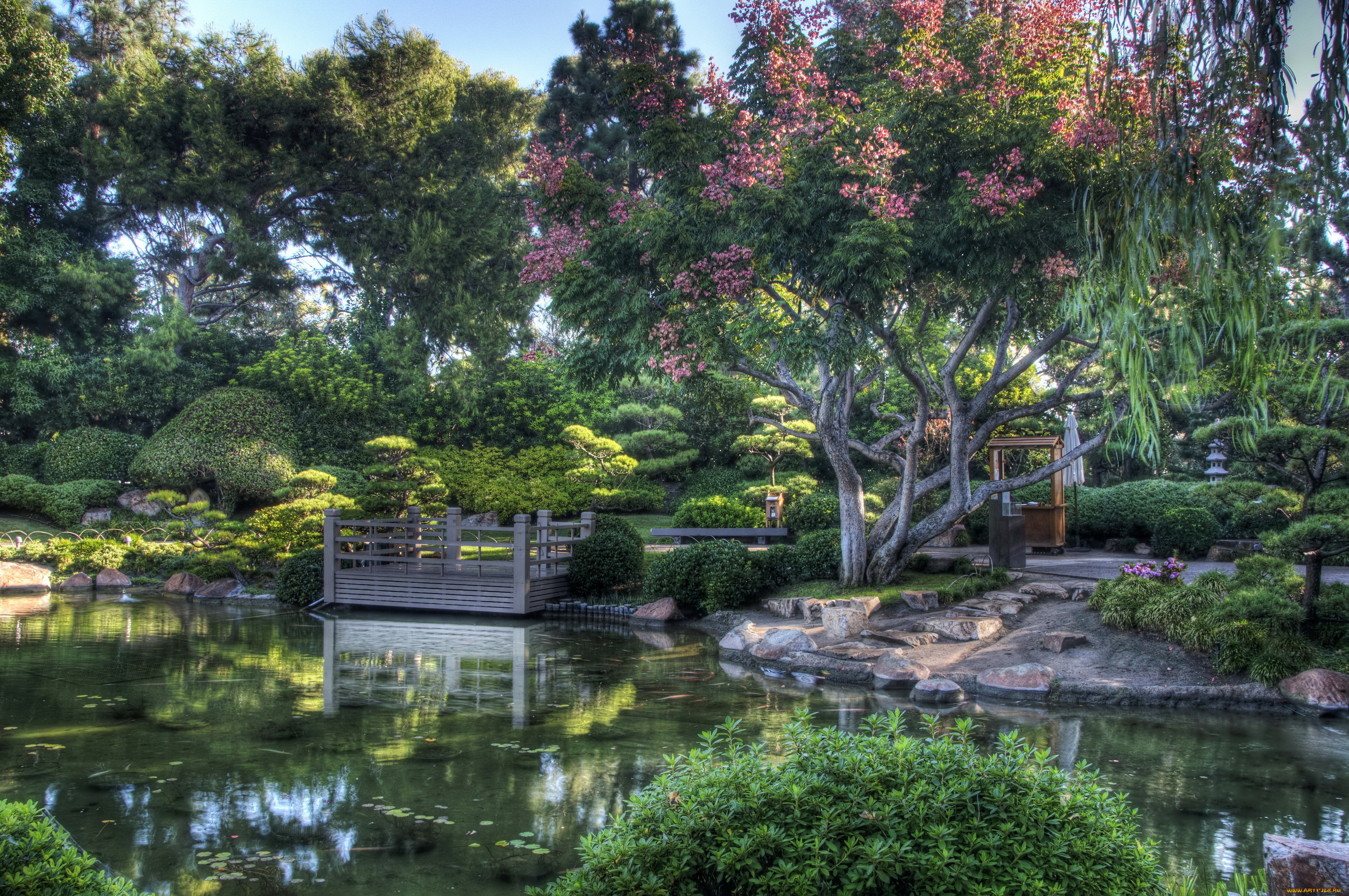 earl, burns, miller, japanese, garden, california, usa, природа, парк, сад