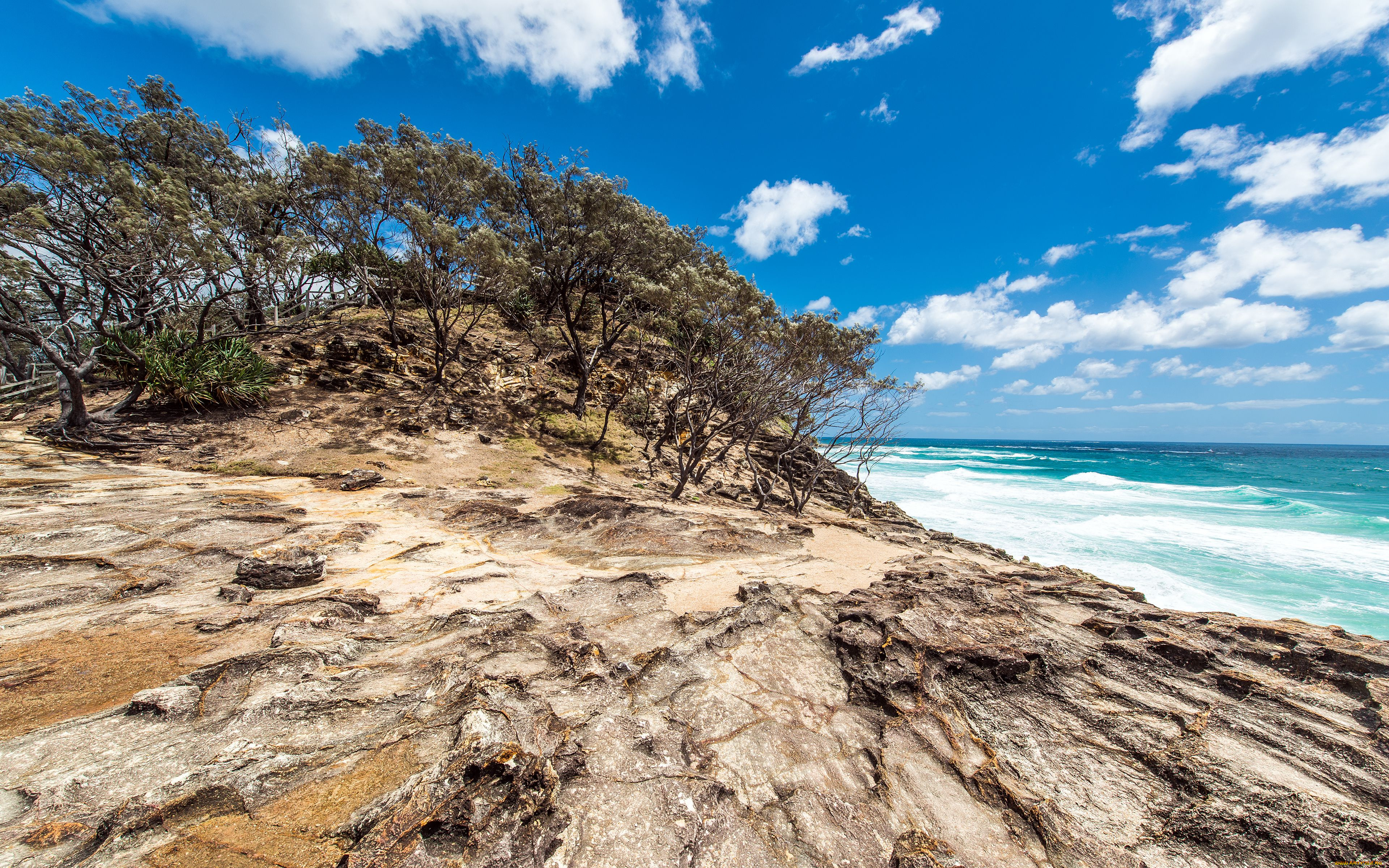 north, stradbroke, island, queensland, australia, природа, побережье, австралия, океан, деревья