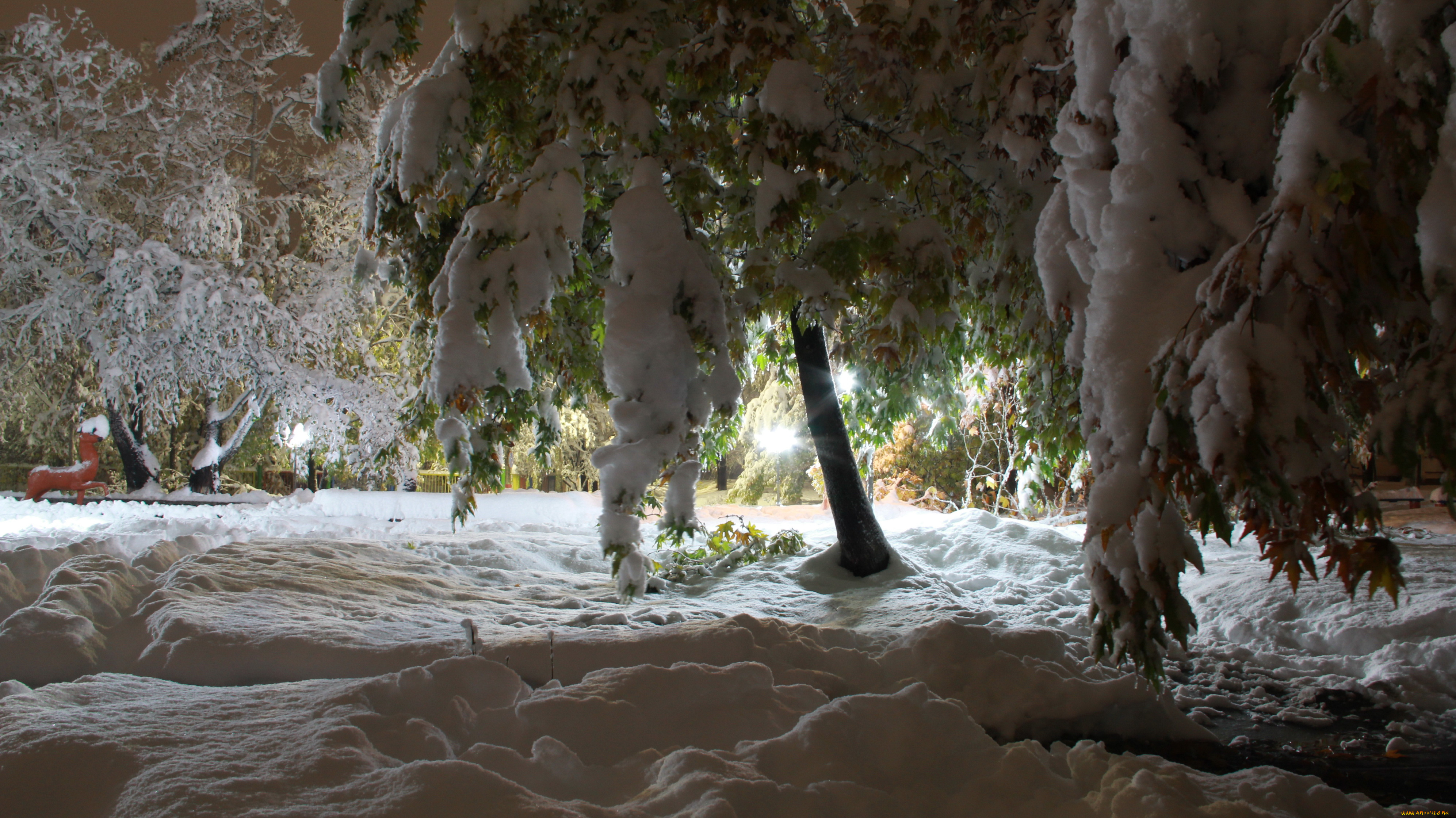 природа, зима, снег, ветки