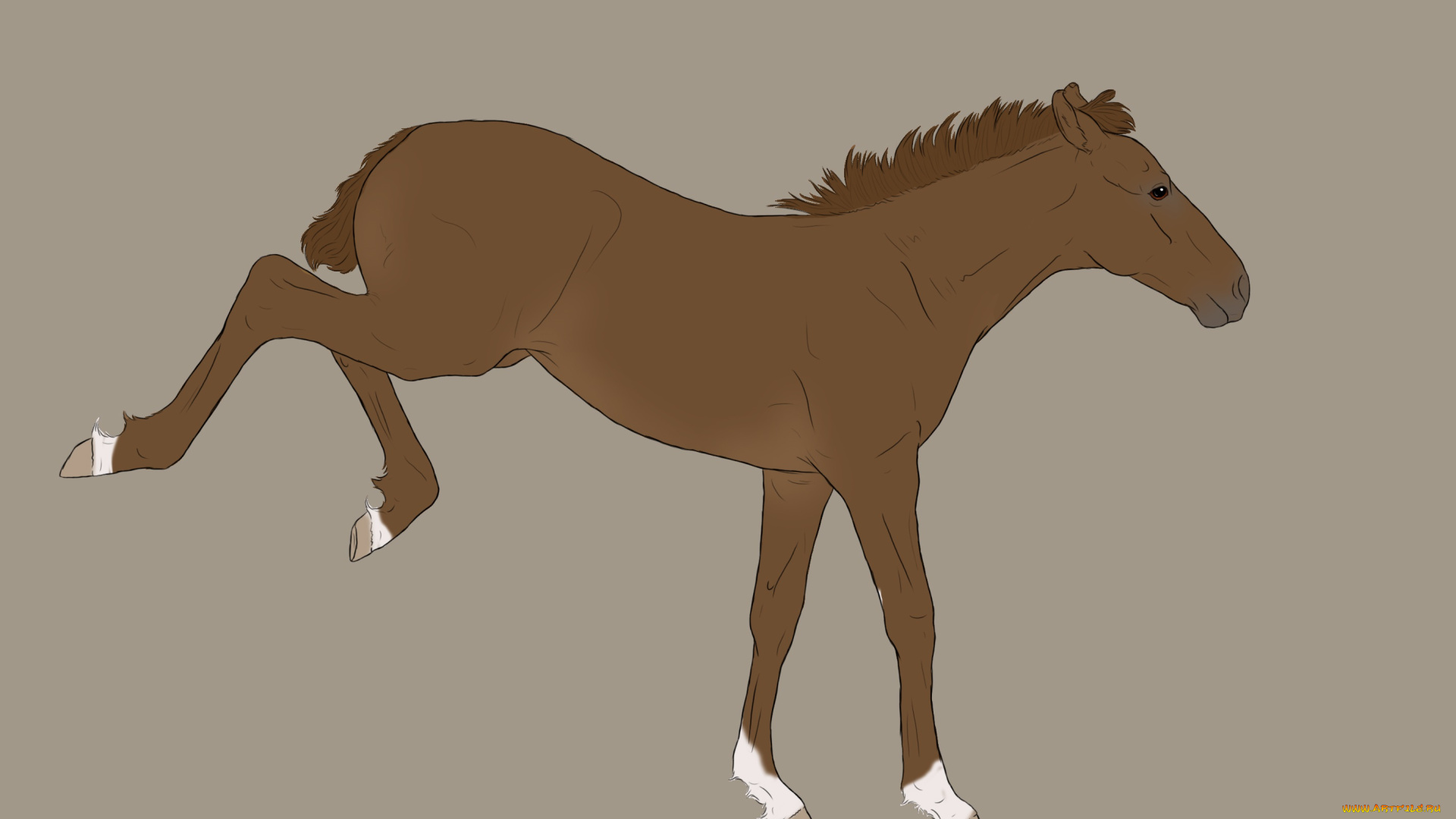 рисованные, животные, , лошади, лошадь