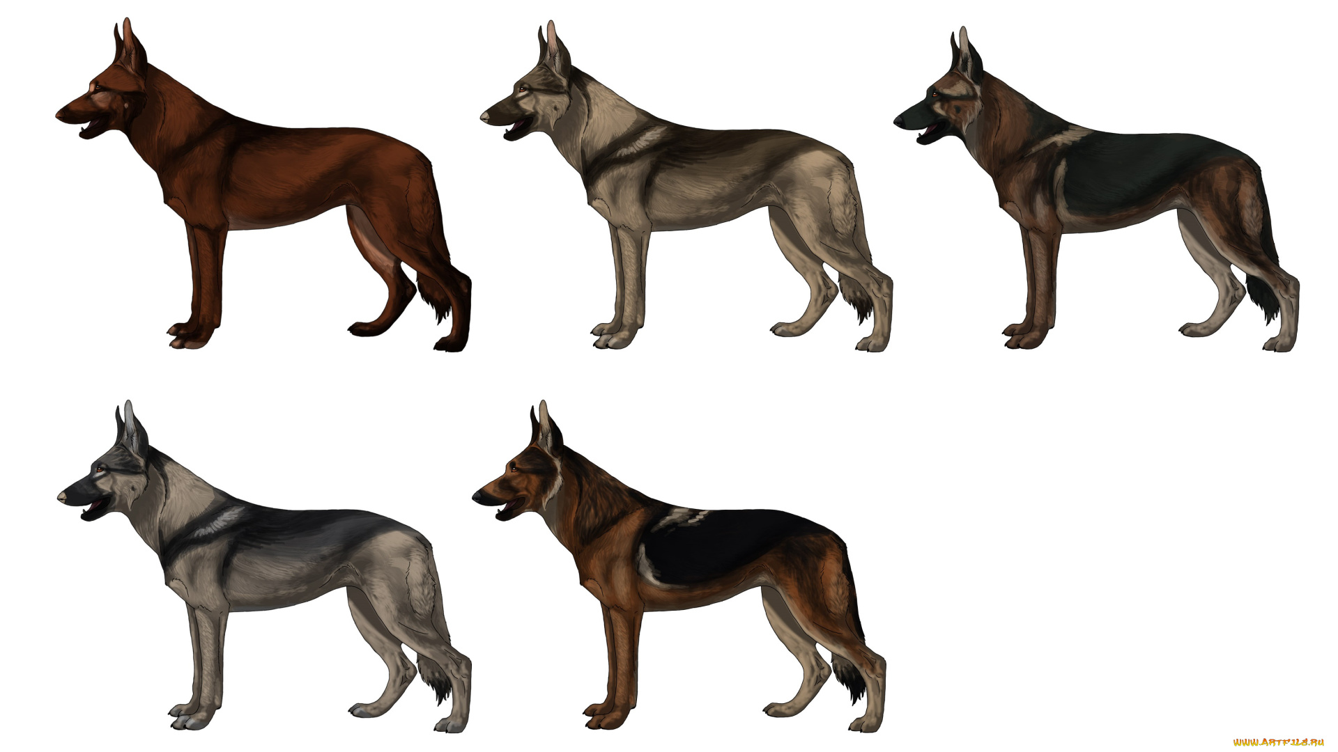 рисованные, животные, , собаки, собаки