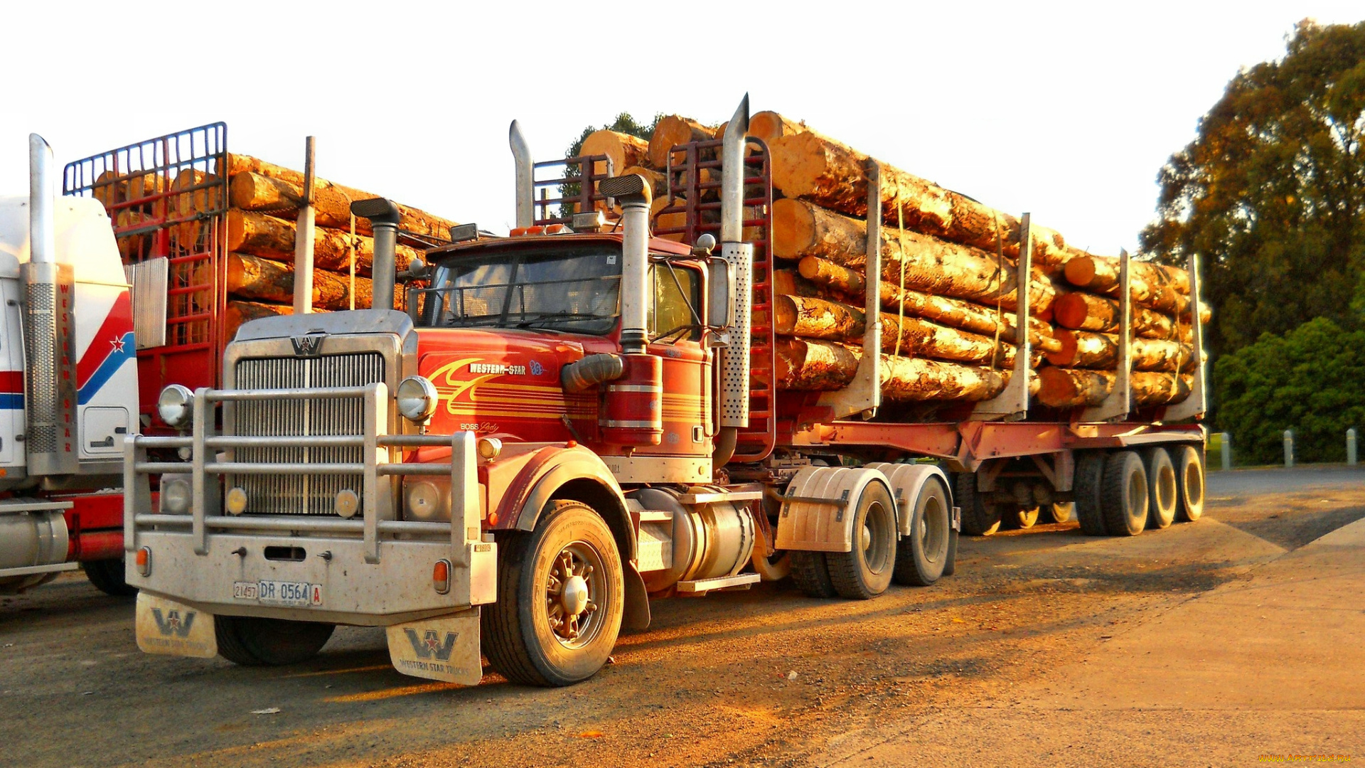 western, star, автомобили, грузовики, тяжелые, western, star, trucks, сша, запчасти, колеса, фура, сила, скорость, трасса, лето, дерево