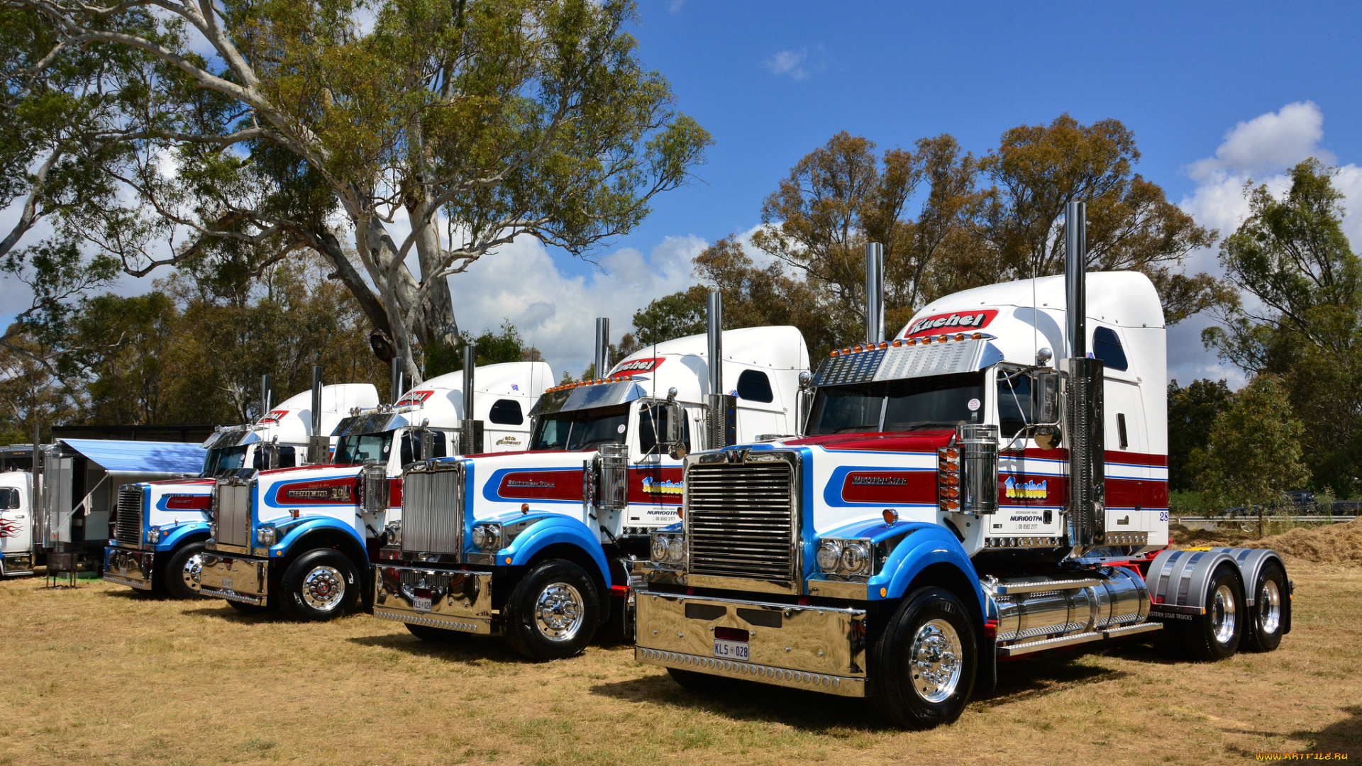 western, star, автомобили, western, star, trucks, сша, грузовики, тяжелые, запчасти