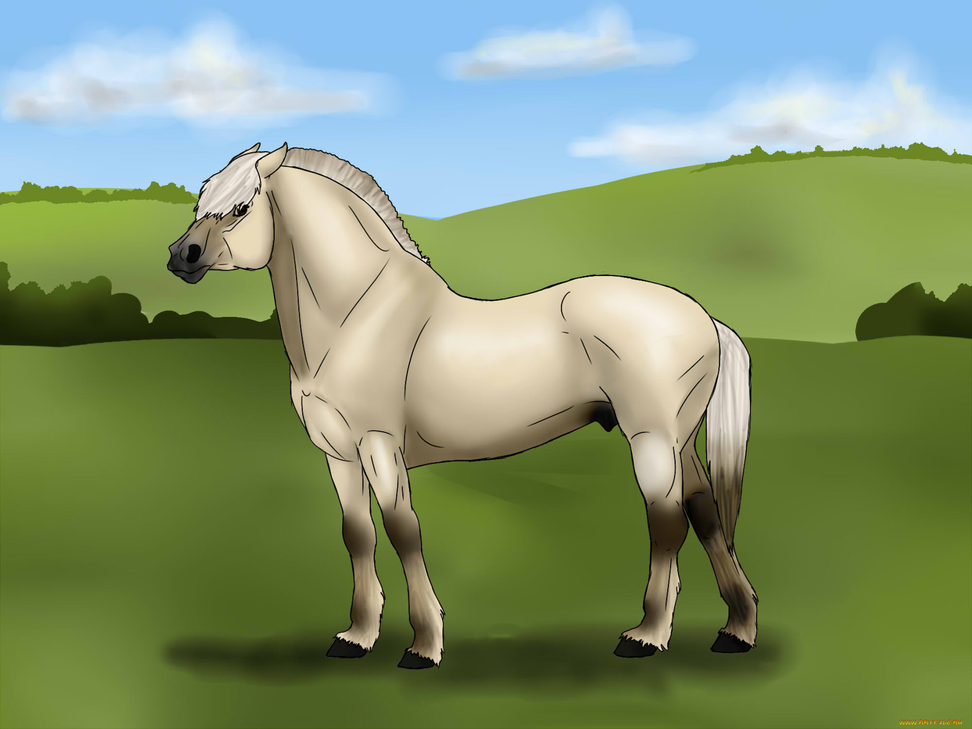 рисованные, животные, , лошади, лошадь