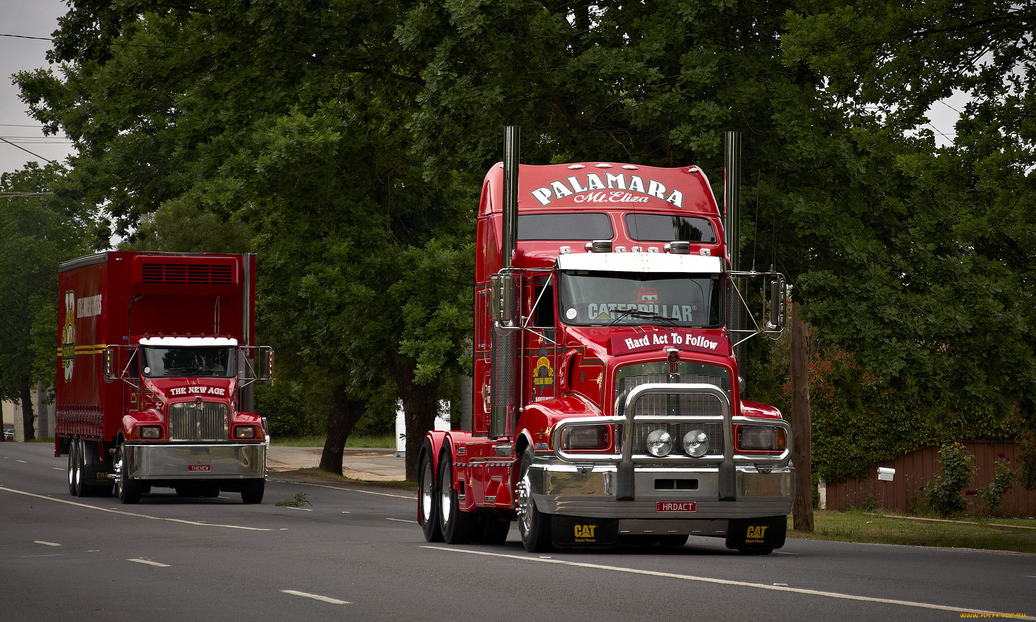 kenworth, автомобили, сша, автобусы, грузовые, truck, company