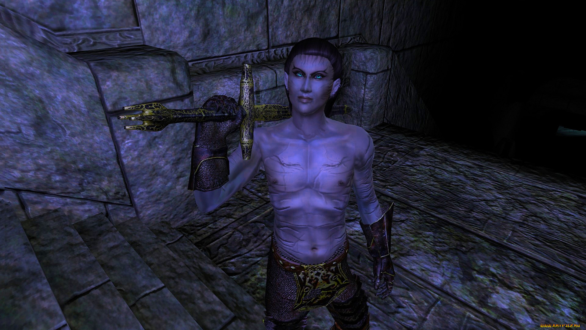 3д, графика, эльфы, , elves, оружие, фон, взгляд, эльф