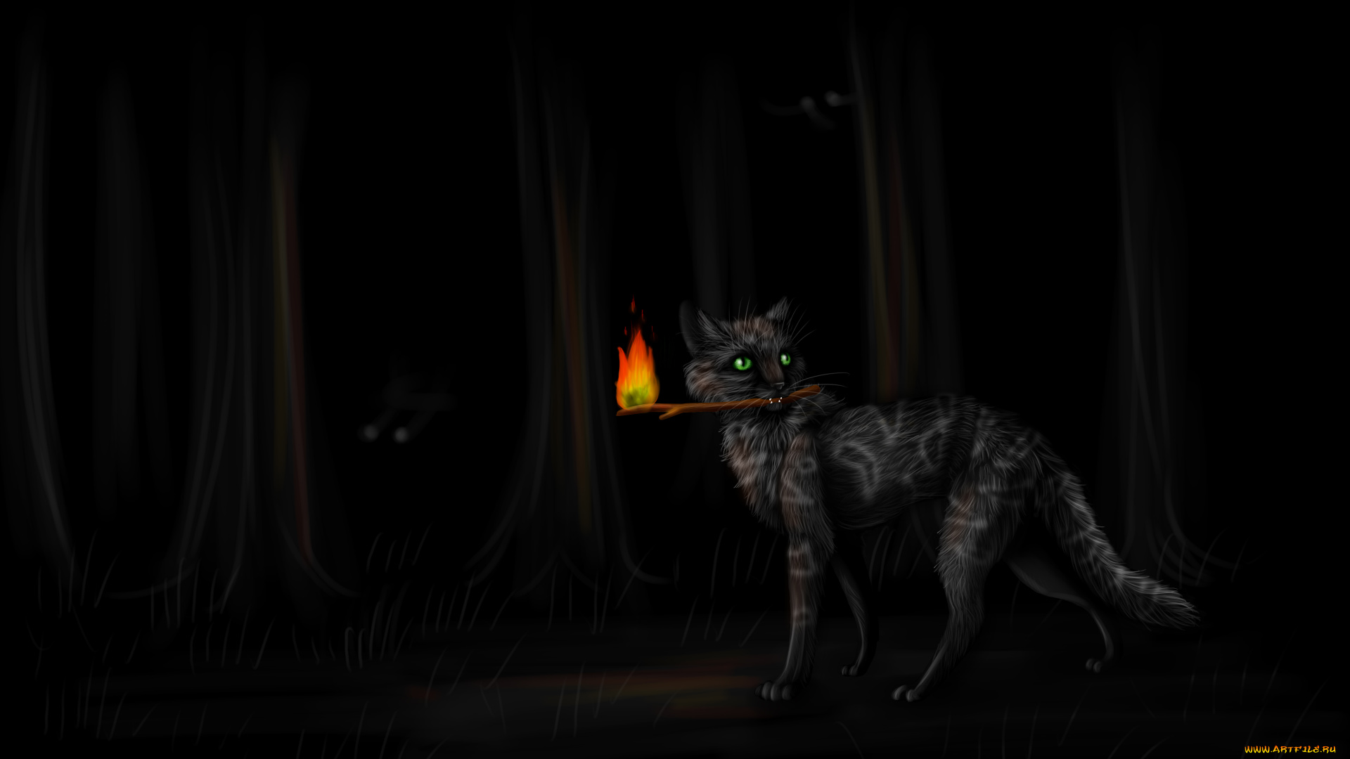 рисованное, животные, , сказочные, , мифические, факел, взгляд, фон, кот