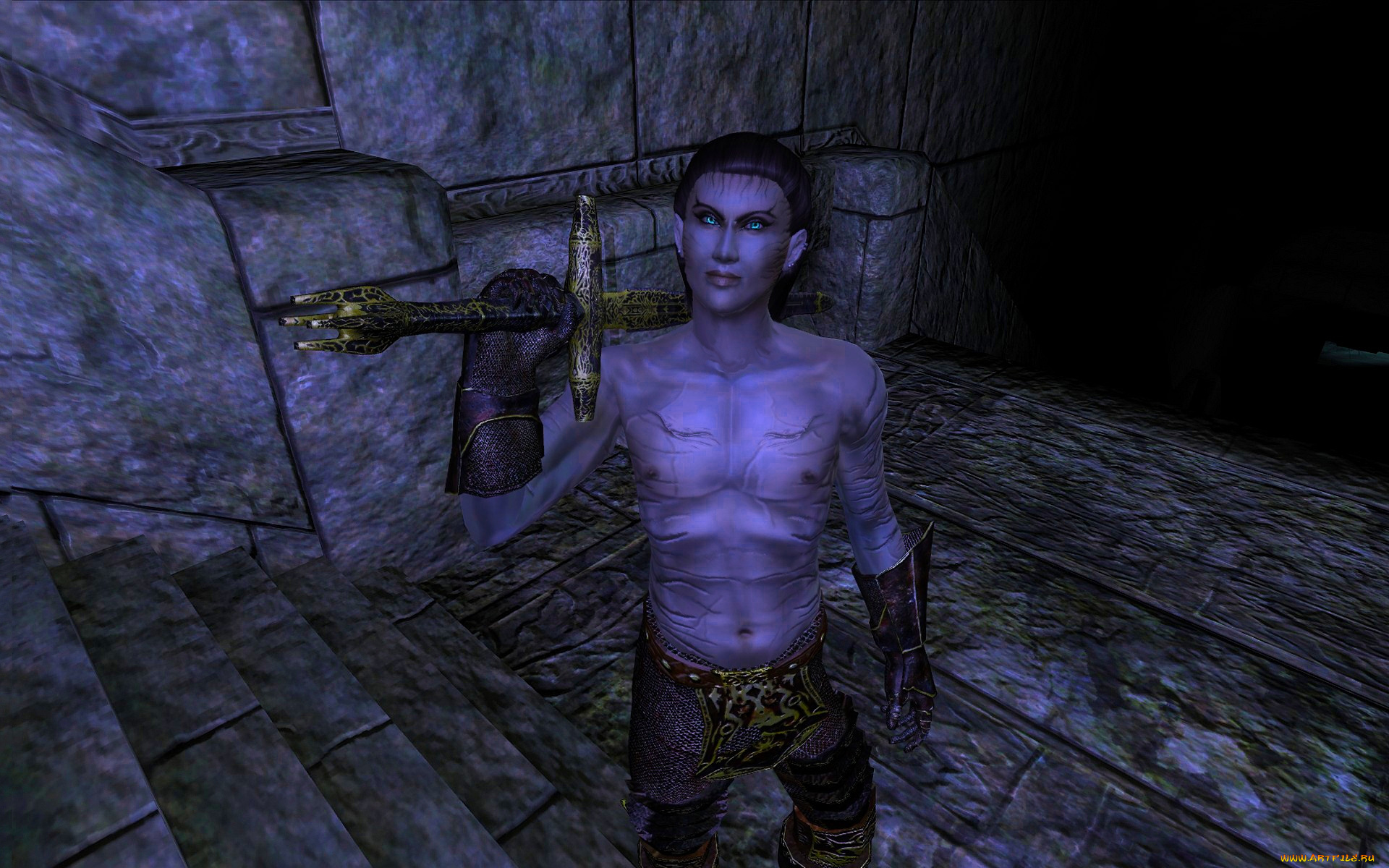 3д, графика, эльфы, , elves, оружие, фон, взгляд, эльф