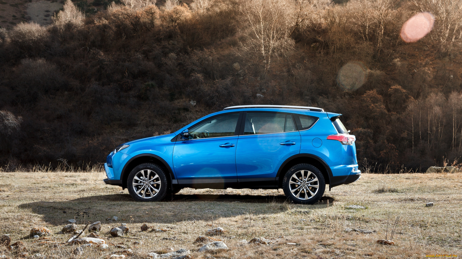 автомобили, toyota, rav4, 2015г